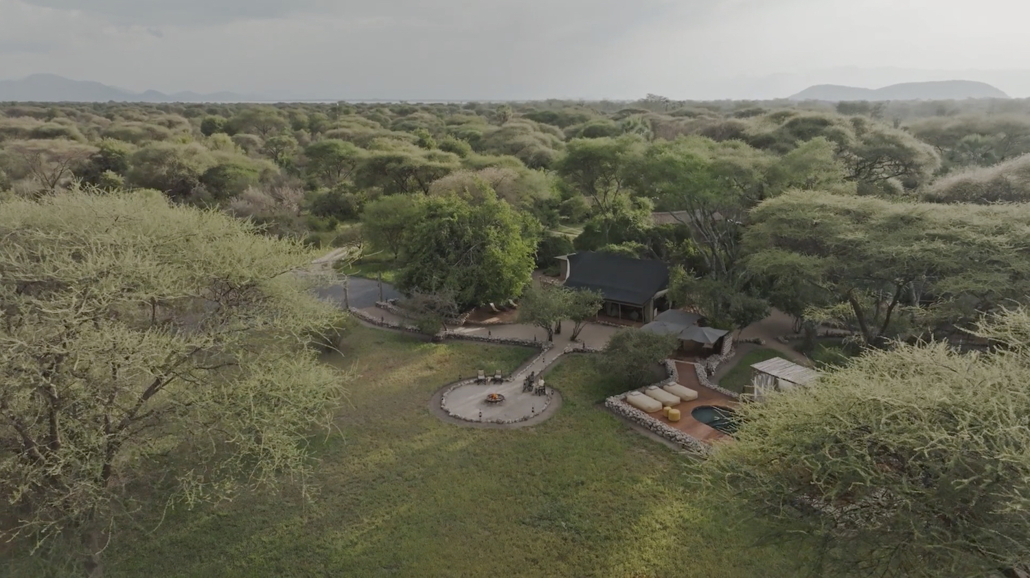 Forest Chem Chem, Tarangire | Timbuktu Travel