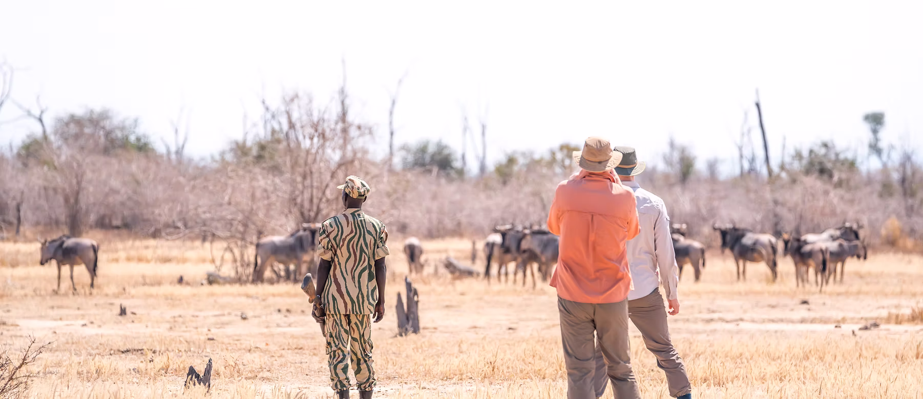Kutandala Camp, North Luangwa | Timbuktu Travel