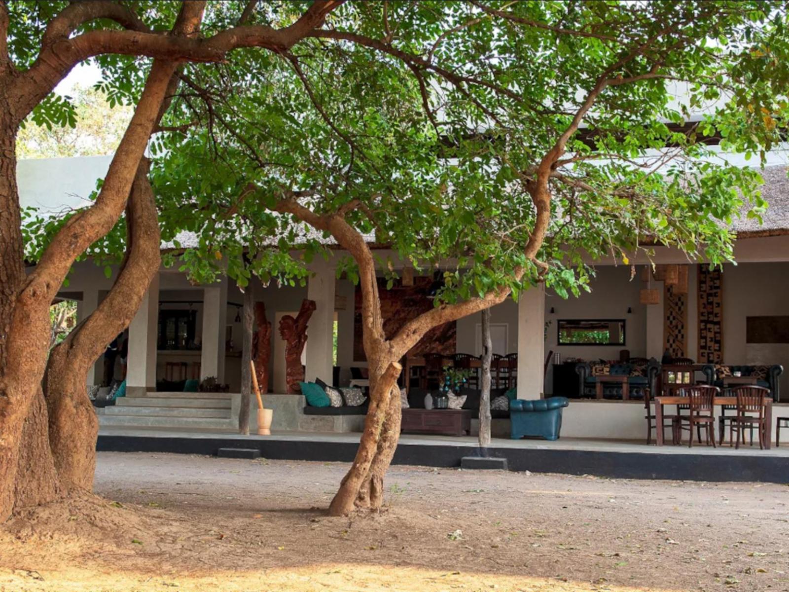 Msandile River Lodge, South Luangwa | Timbuktu Travel