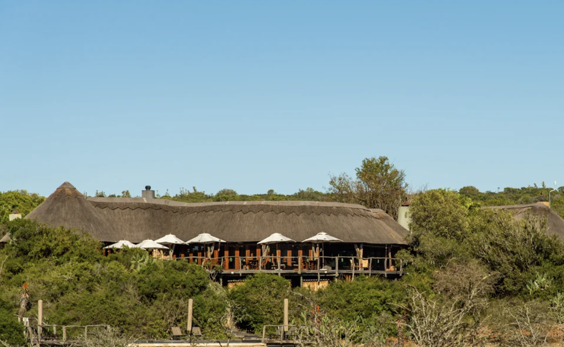 Bush Lodge - Pumba Private Game Reserve, Eastern Cape | Timbuktu Travel