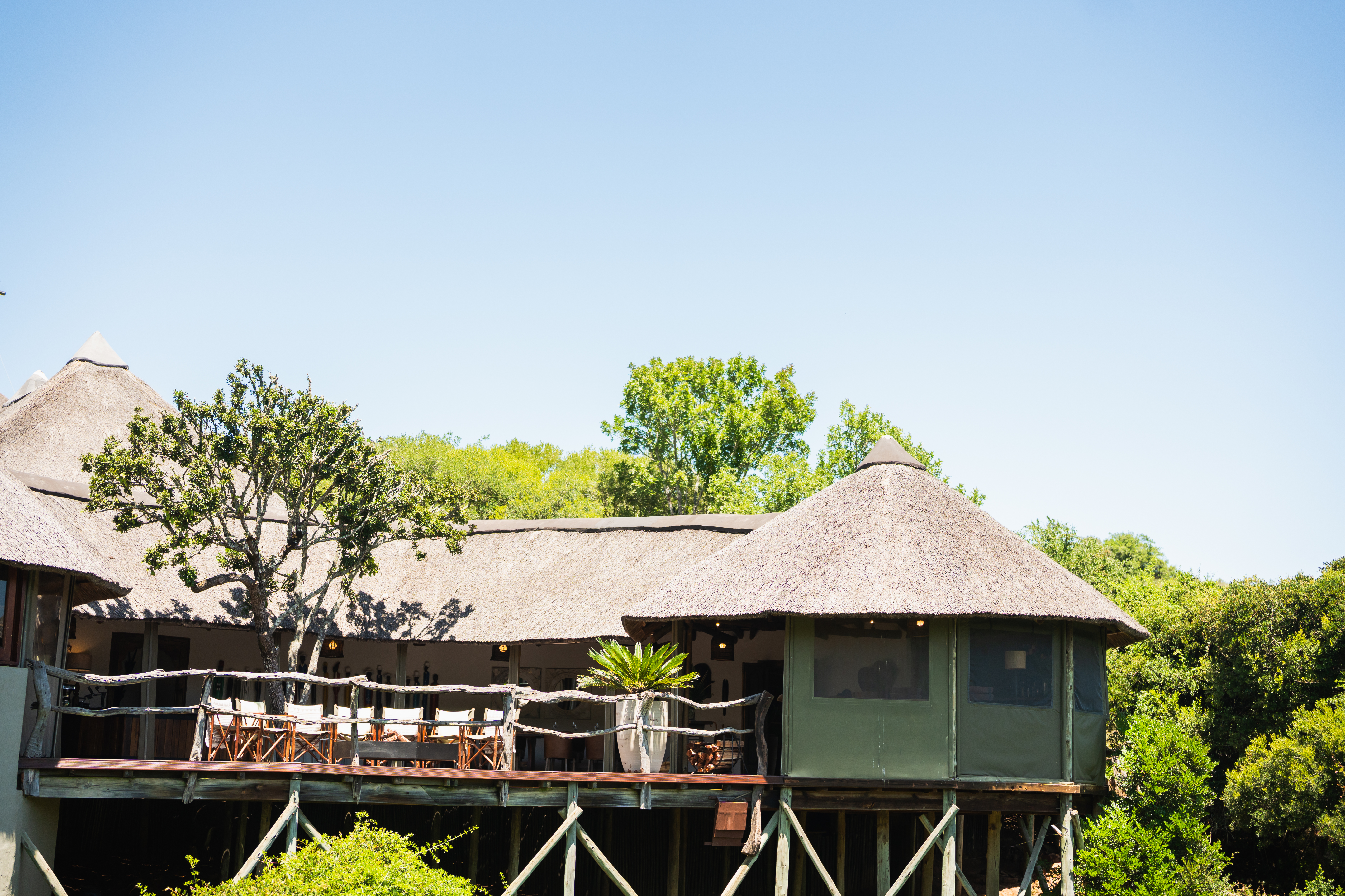 Tree Tops Safari Lodge, Eastern Cape | Timbuktu Travel