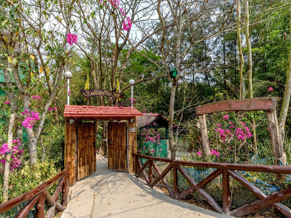 Sunderban Tiger Camp, Kolkata | Timbuktu Travel