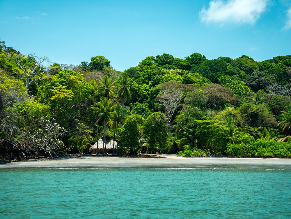 Isla Palenque, Panama City | Timbuktu Travel