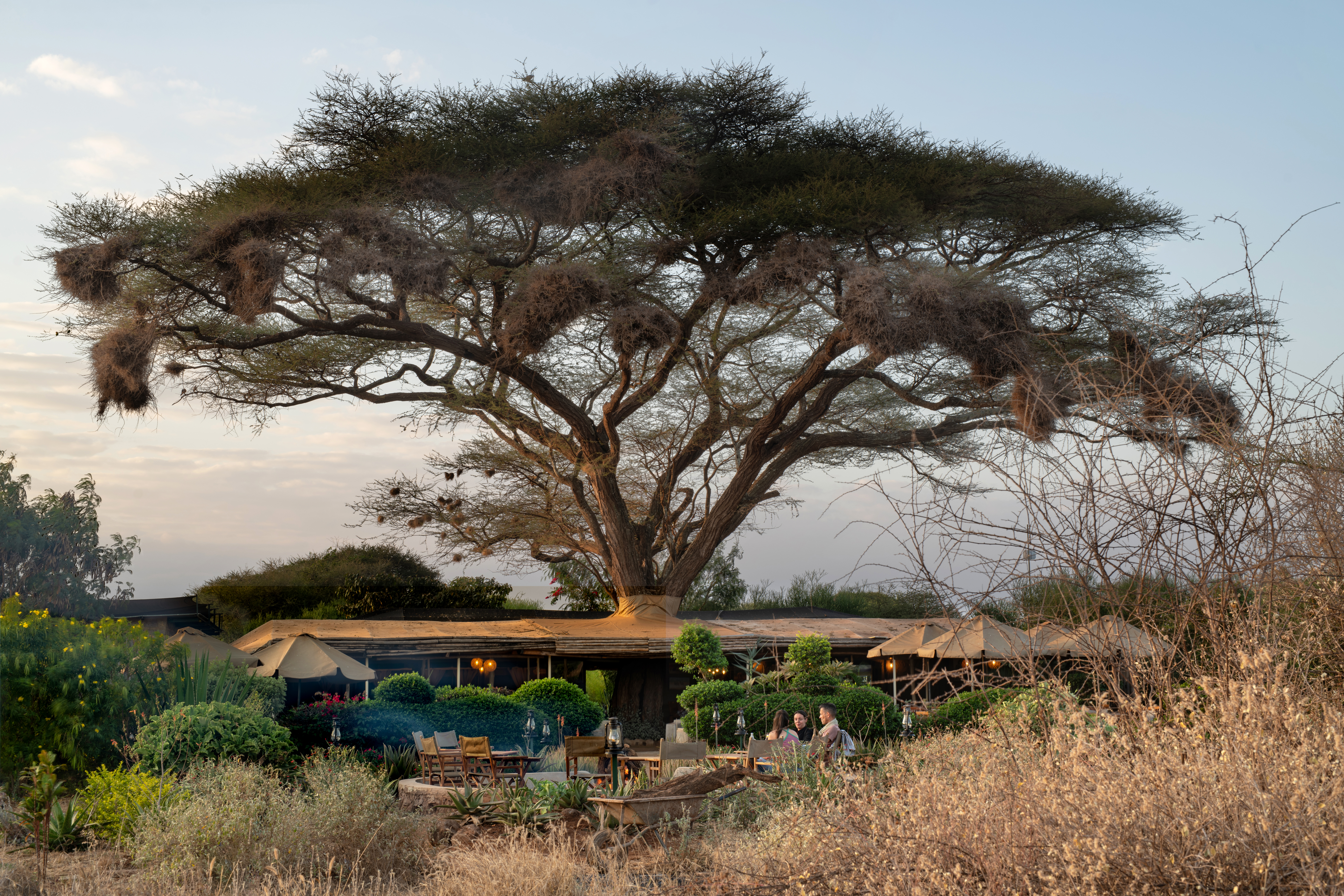 Tulia Amboseli Safari Camp, Amboseli & Chyulu Hills | Timbuktu Travel