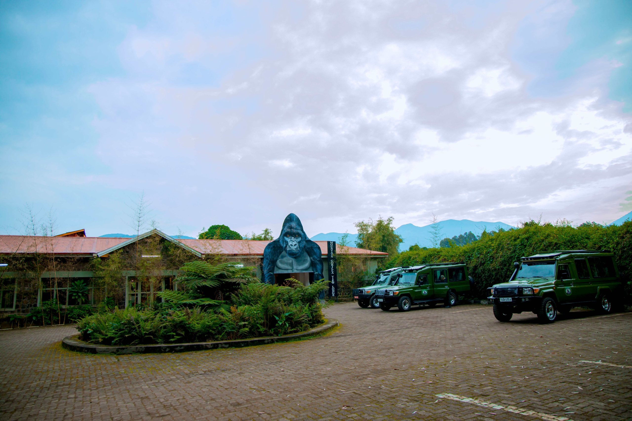 Mountain Gorilla View Lodge, Volcanoes | Timbuktu Travel