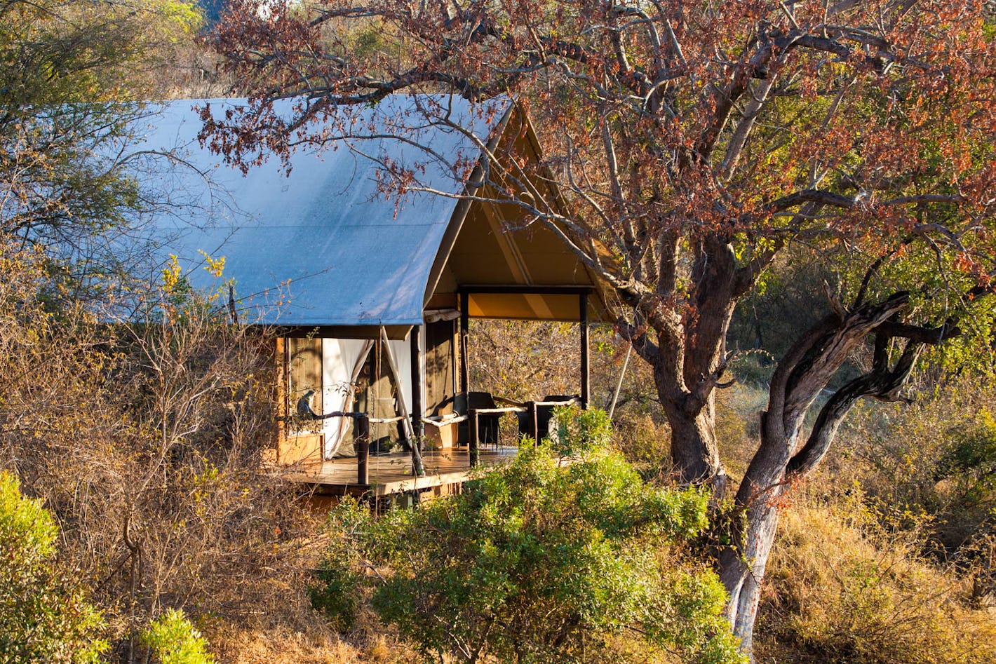 Garonga Safari Camp Nature Viewing Deck  