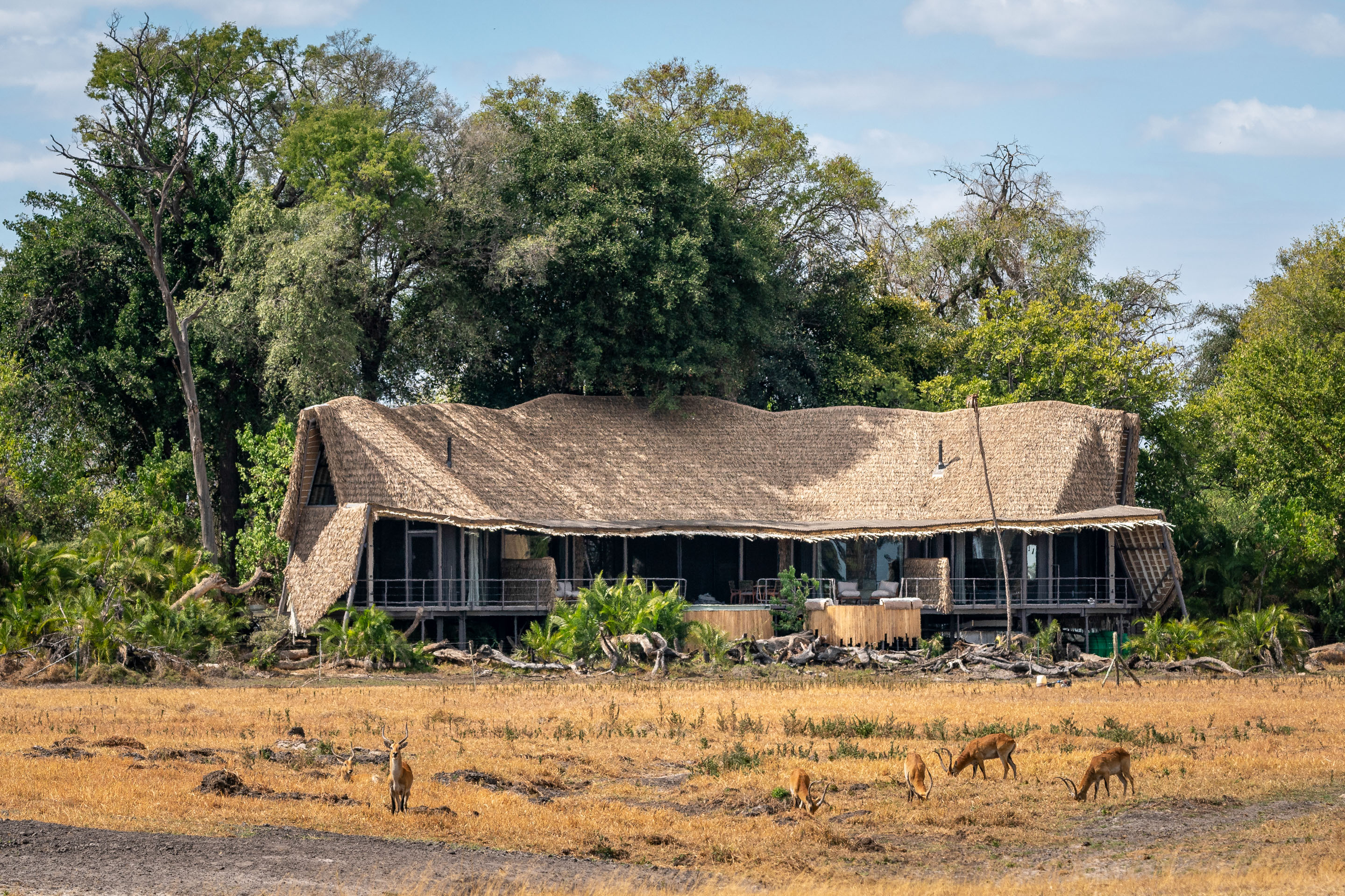 Jao Camp, Central Okavango | Timbuktu Travel
