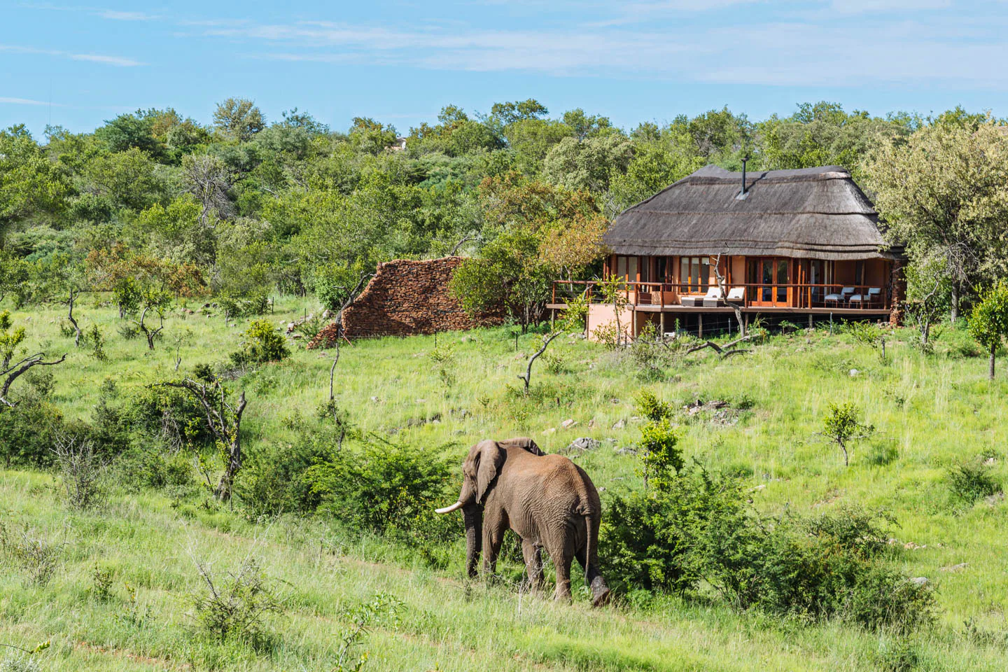The Royal Madikwe, Madikwe | Timbuktu Travel