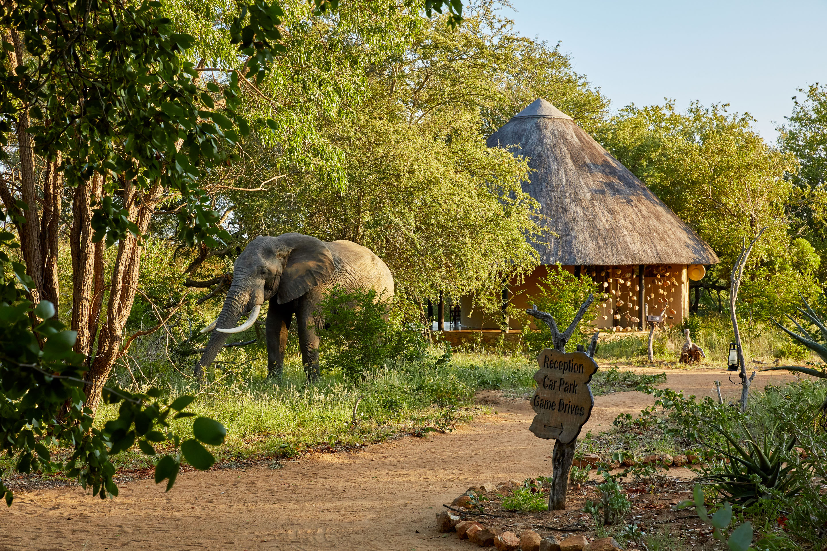 Motswari Game Lodge, Timbavati | Timbuktu Travel