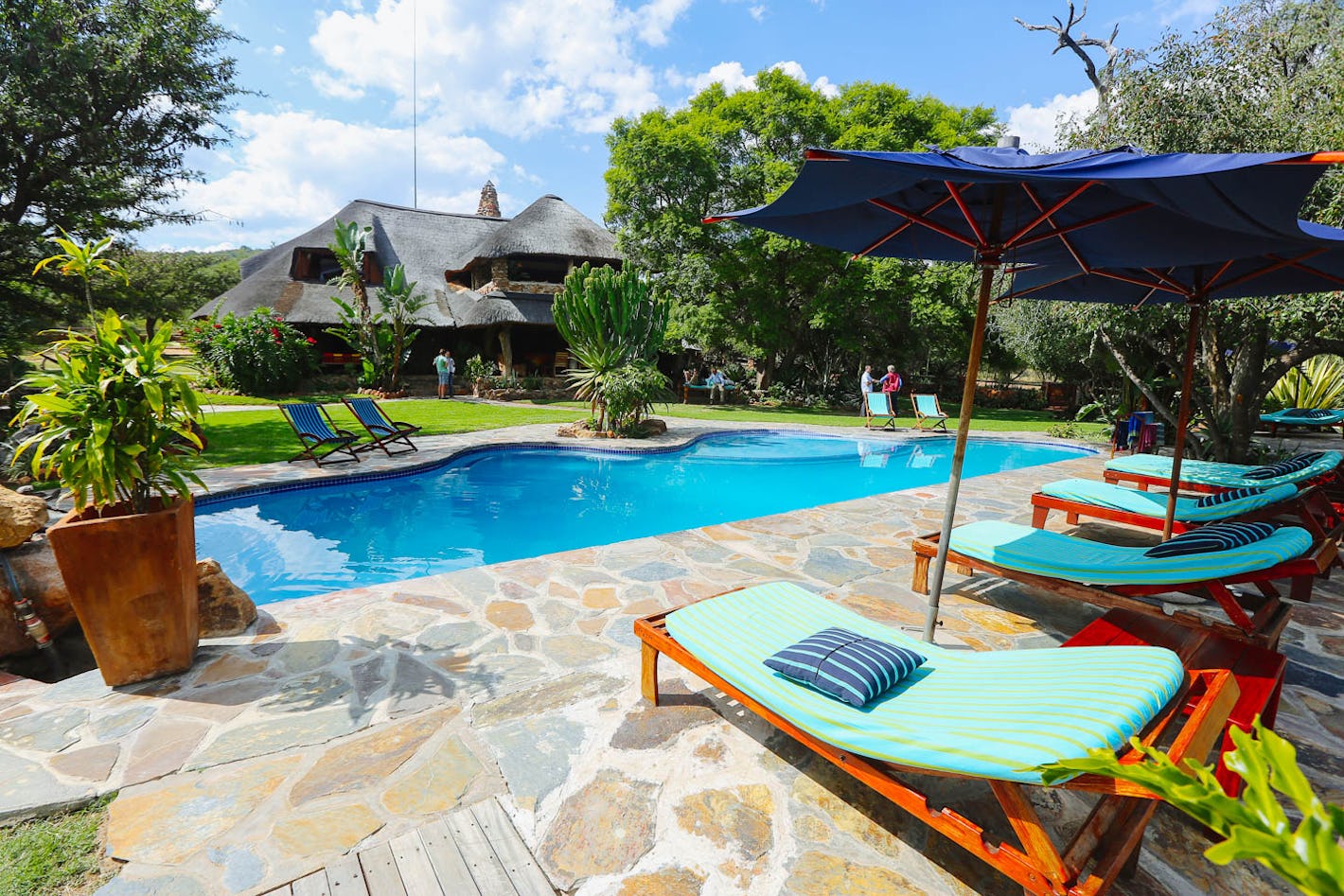 ants nest public areas pool lodge exterior waterberg south africa  