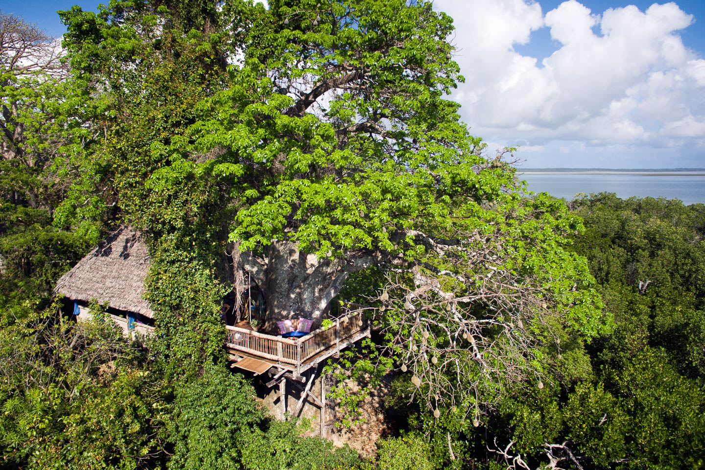 Chole Mjini, Mafia Island | Timbuktu Travel