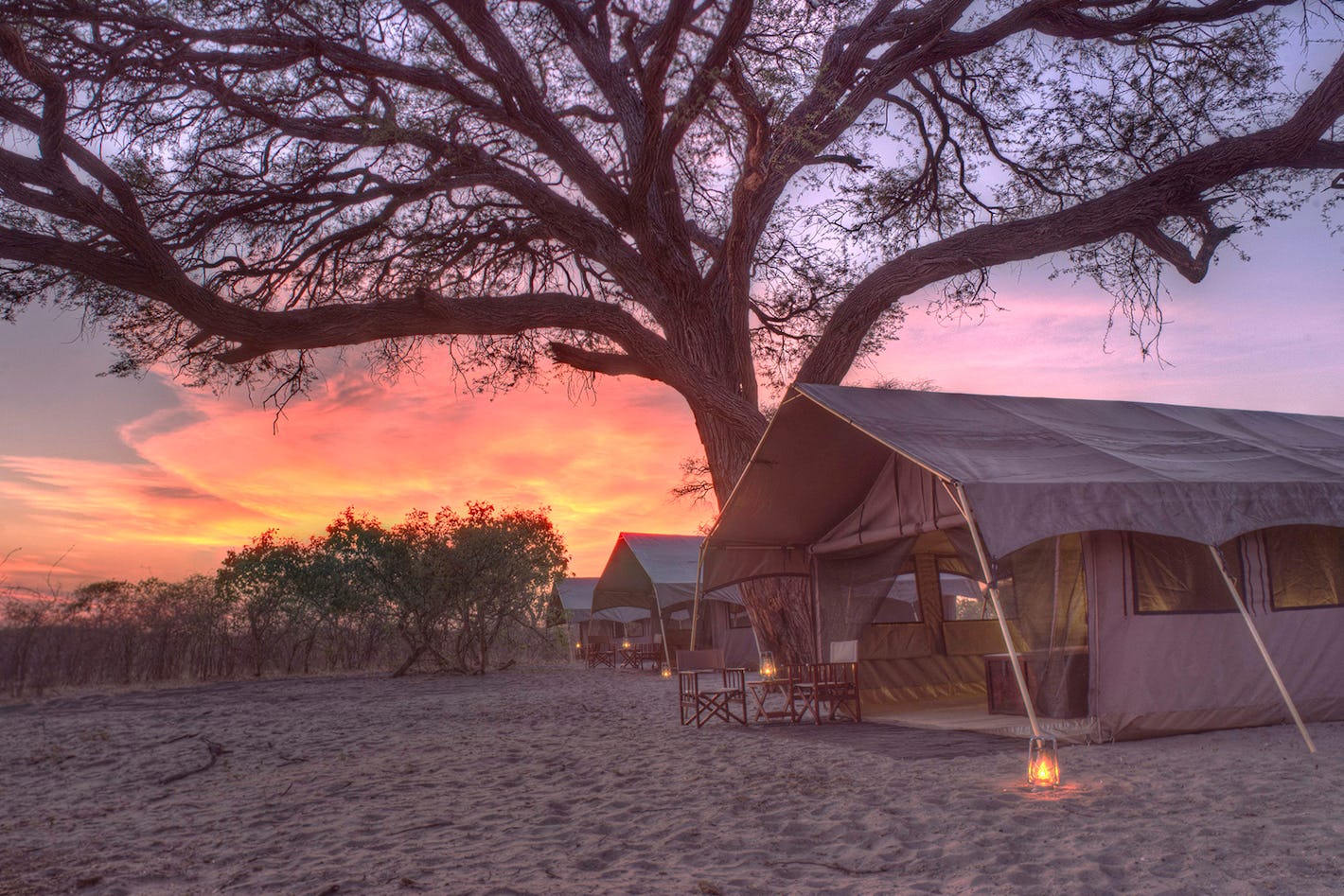Header semi mobile tented camps at savute under canvas chobe national park on a luxury botswana safari.
