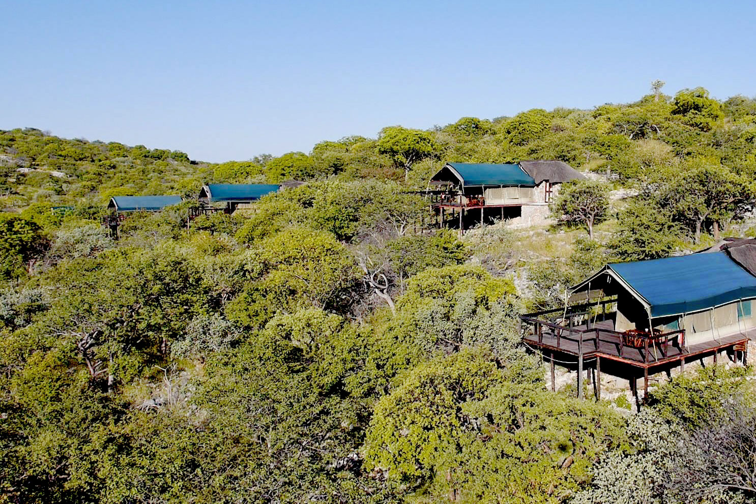 Eagle Tented Camp , Etosha | Timbuktu Travel
