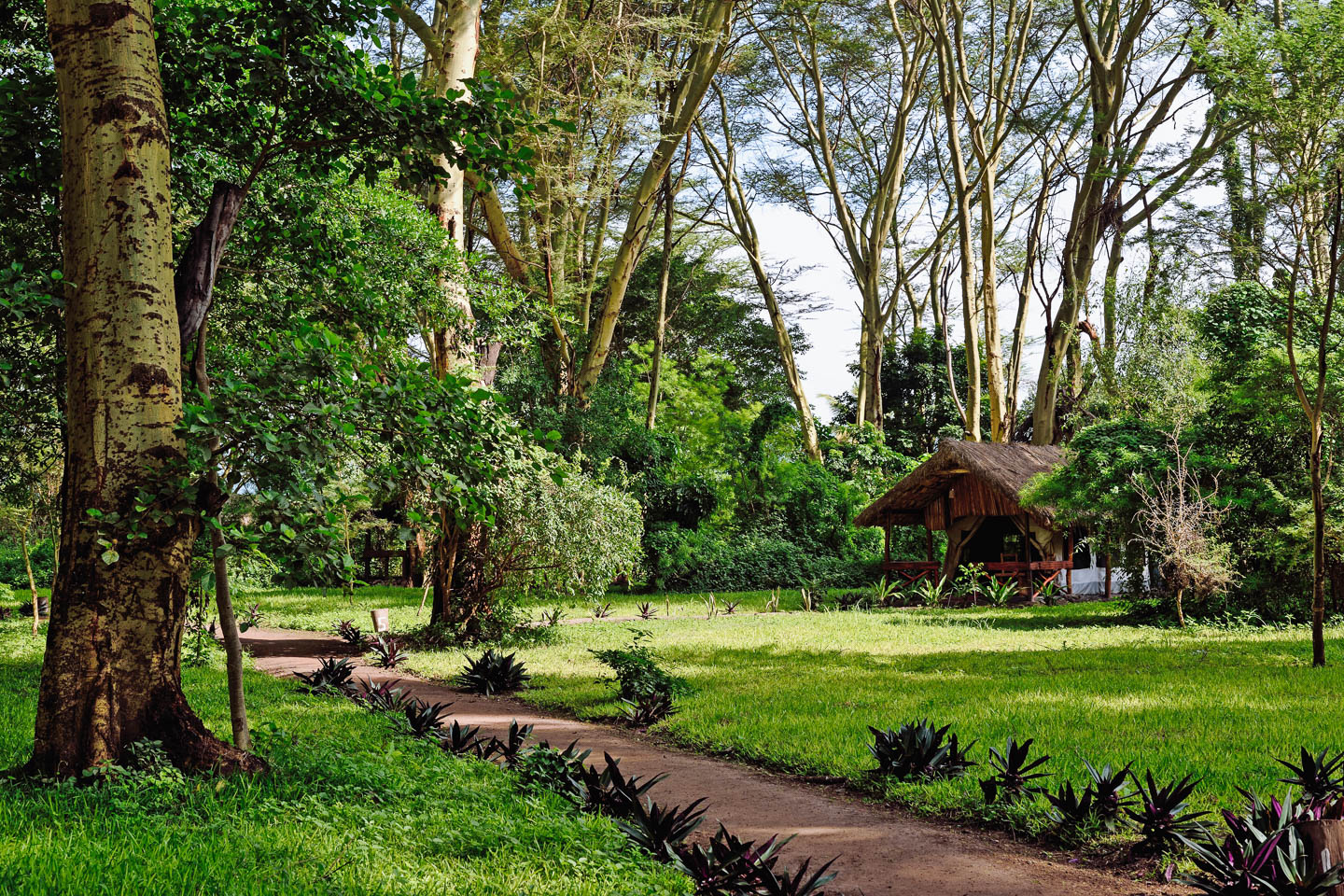 Migunga Tented Camp, Lake Manyara | Timbuktu Travel