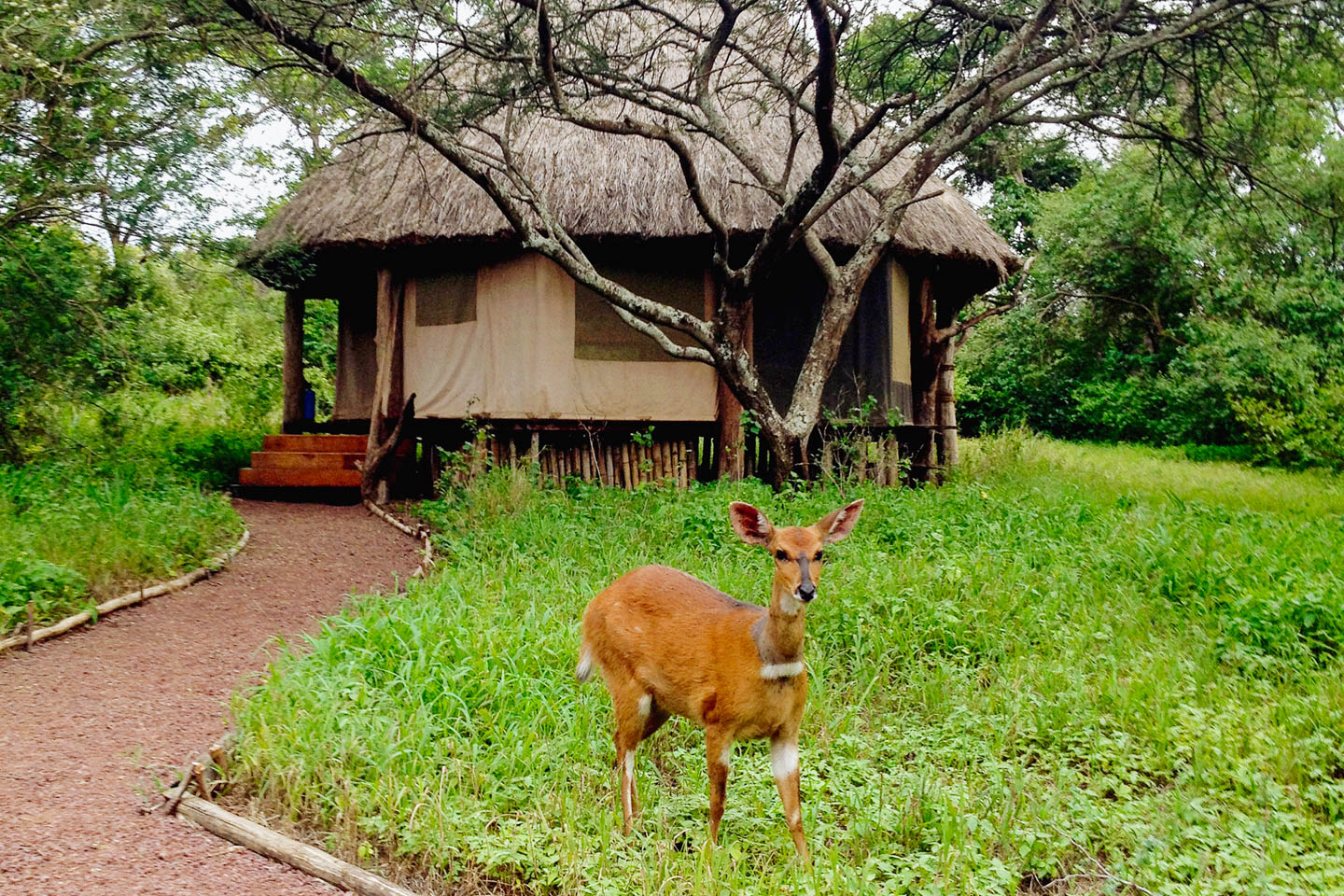 Ndarakwai Camp, Kilimanjaro | Timbuktu Travel