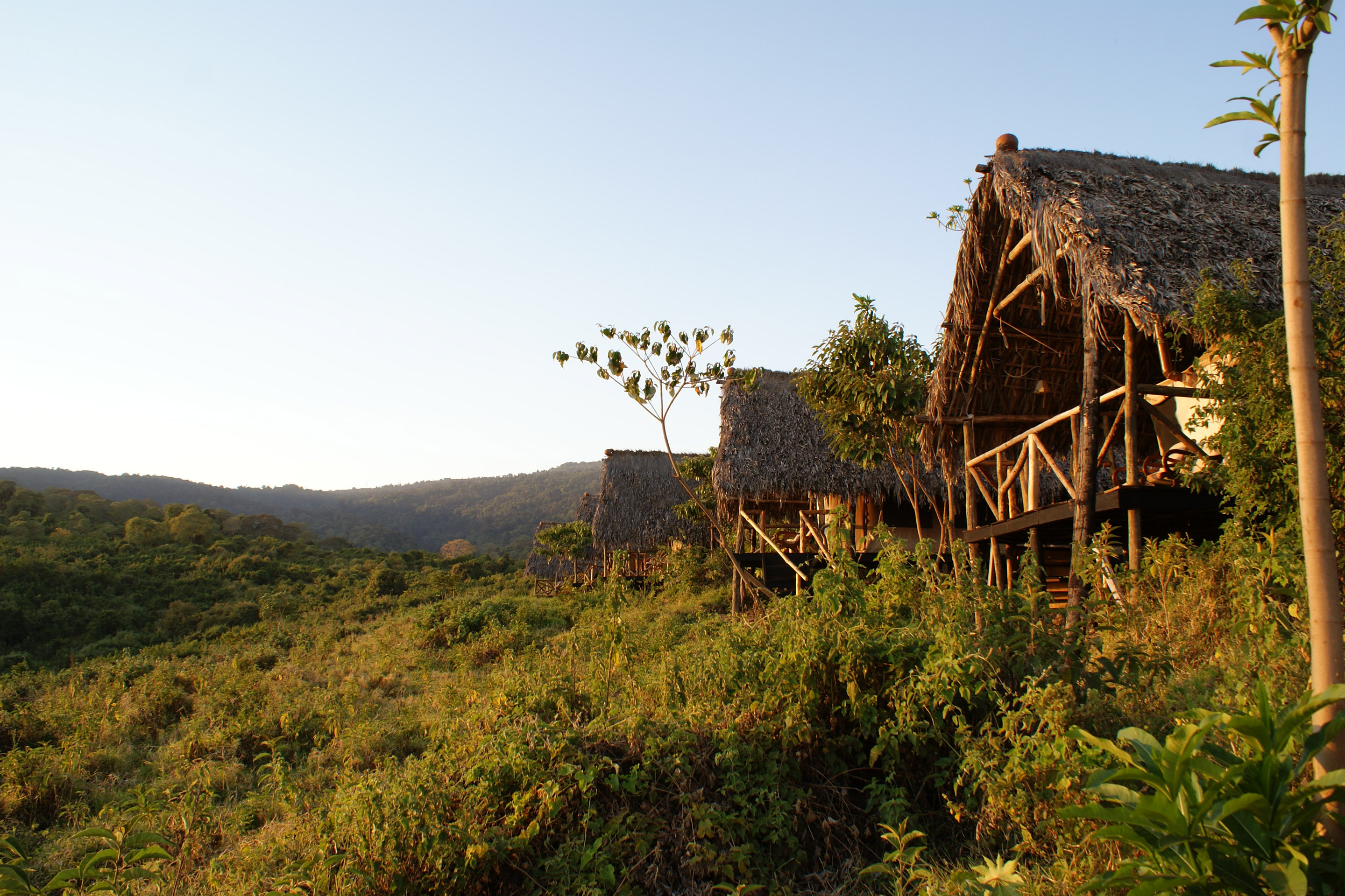Crater Forest Tented Camp, Ngorongoro Crater | Timbuktu Travel