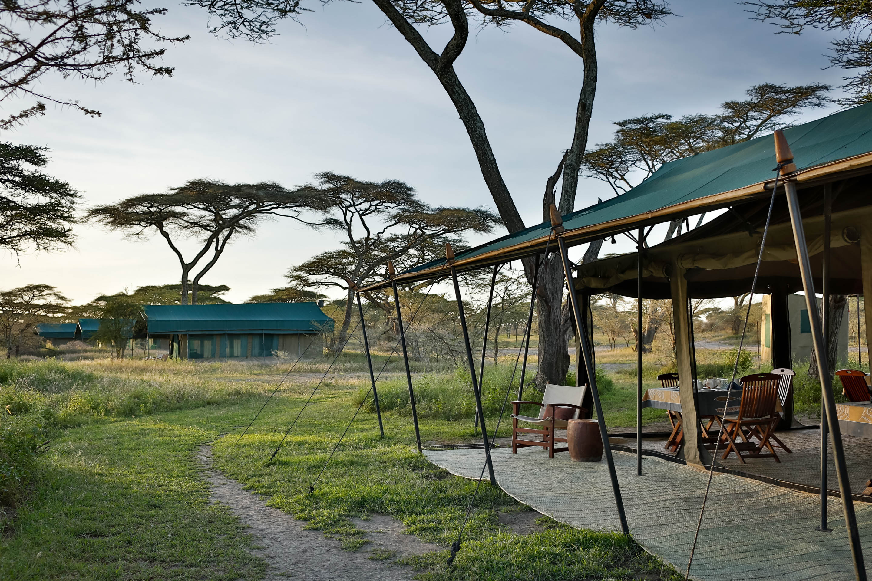 Nyikani Camp Serengeti Migration - Ndutu, Serengeti | Timbuktu Travel