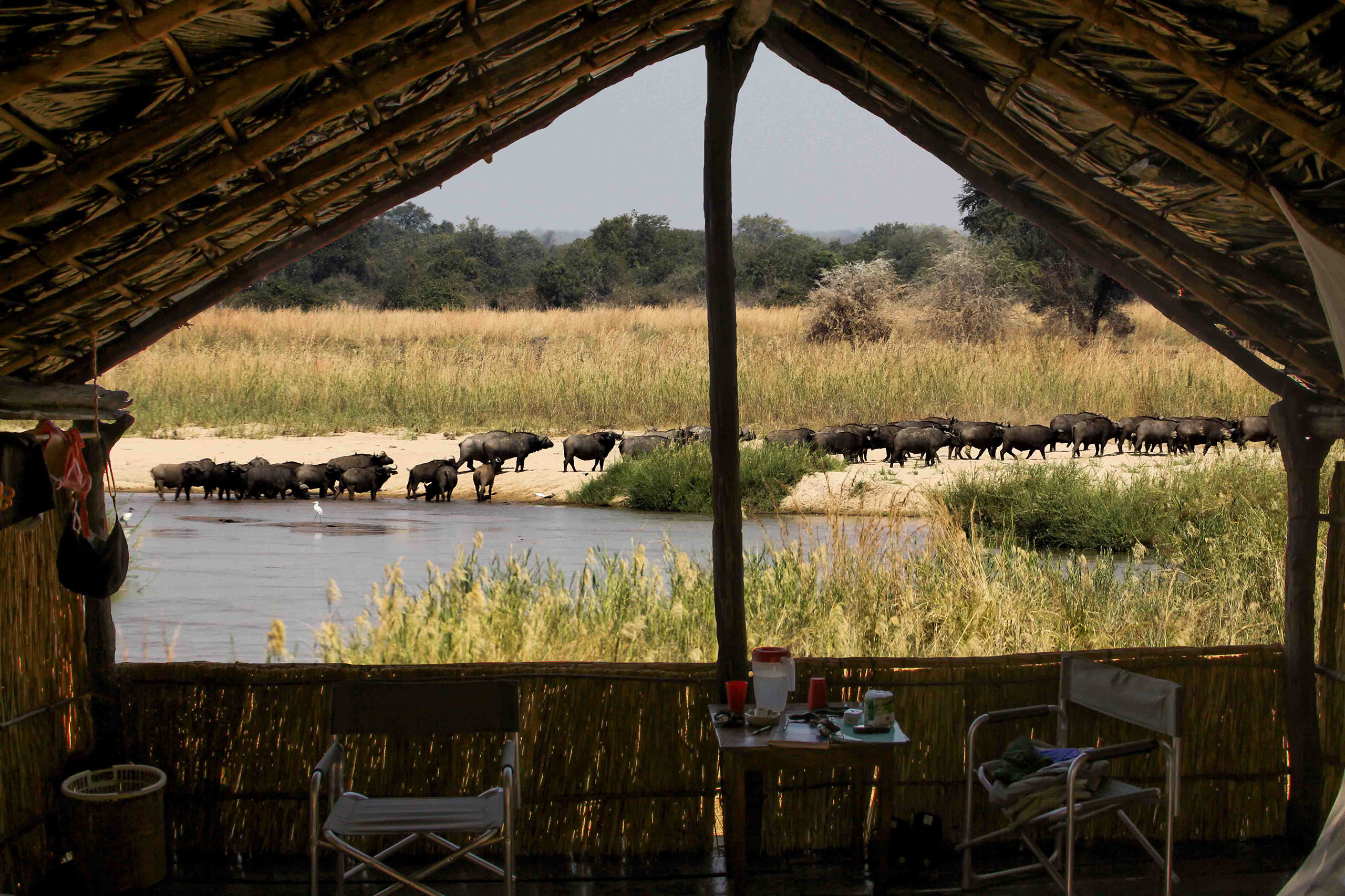 Buffalo Camp, North Luangwa | Timbuktu Travel