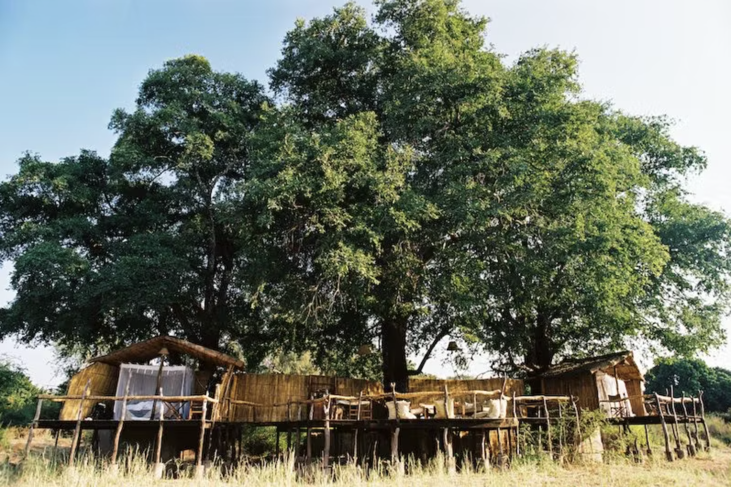 South Luangwa is one of south-central Africa's most iconic wilderness areas. Flatdogs is on its border, and there's no fence to impede the wildlife, so animals constantly visit the camp.