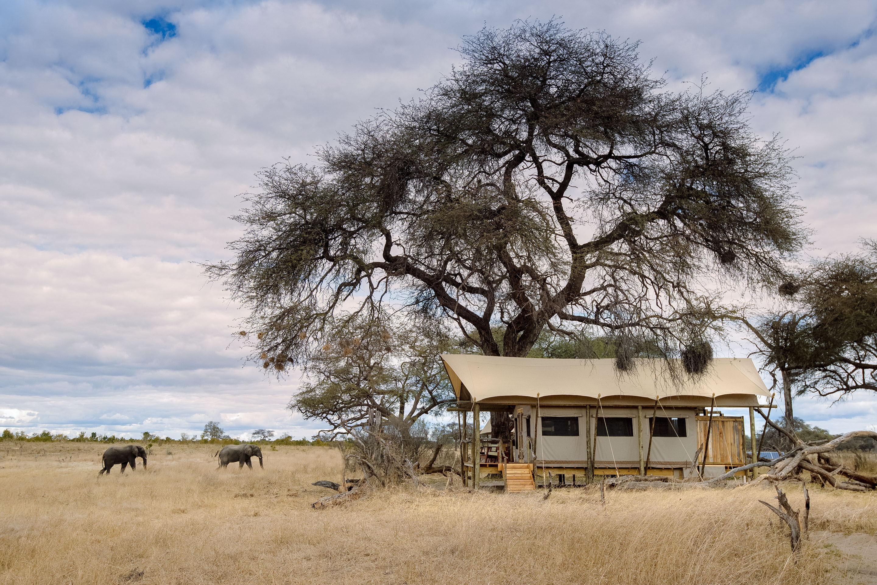 Somalisa Expeditions, Hwange | Timbuktu Travel