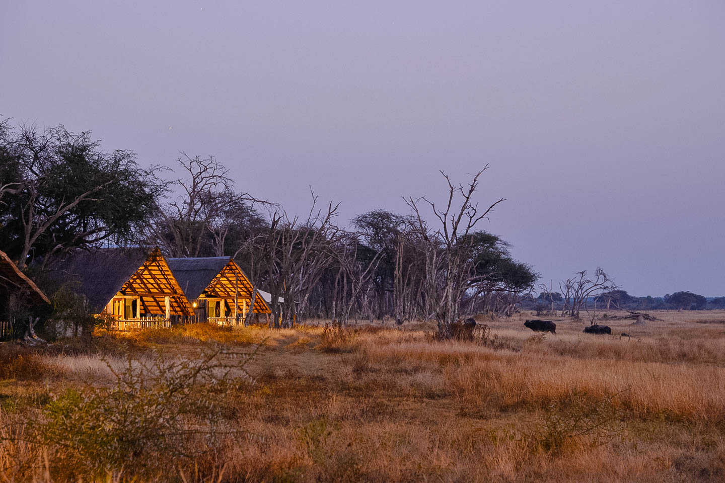The Hide Safari Camp, Hwange | Timbuktu Travel