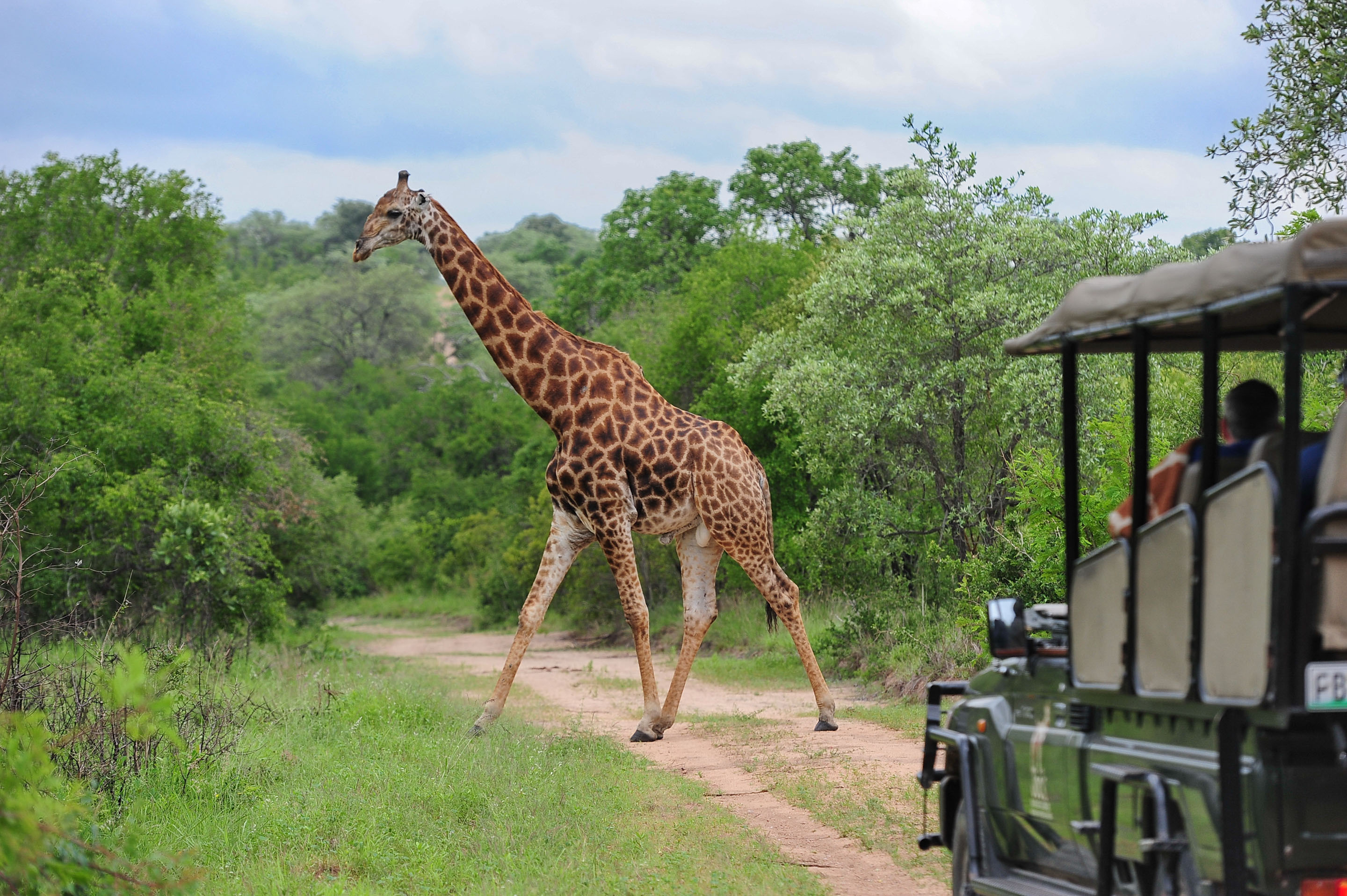 Fitzpatrick’s at Jock, Southern Kruger | Timbuktu Travel
