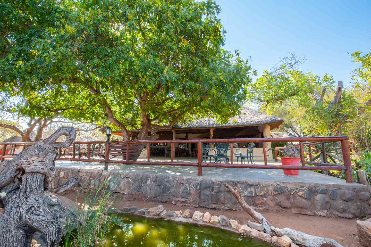 Tshukudu Game Lodge, Hoedspruit & Surrounds | Timbuktu Travel