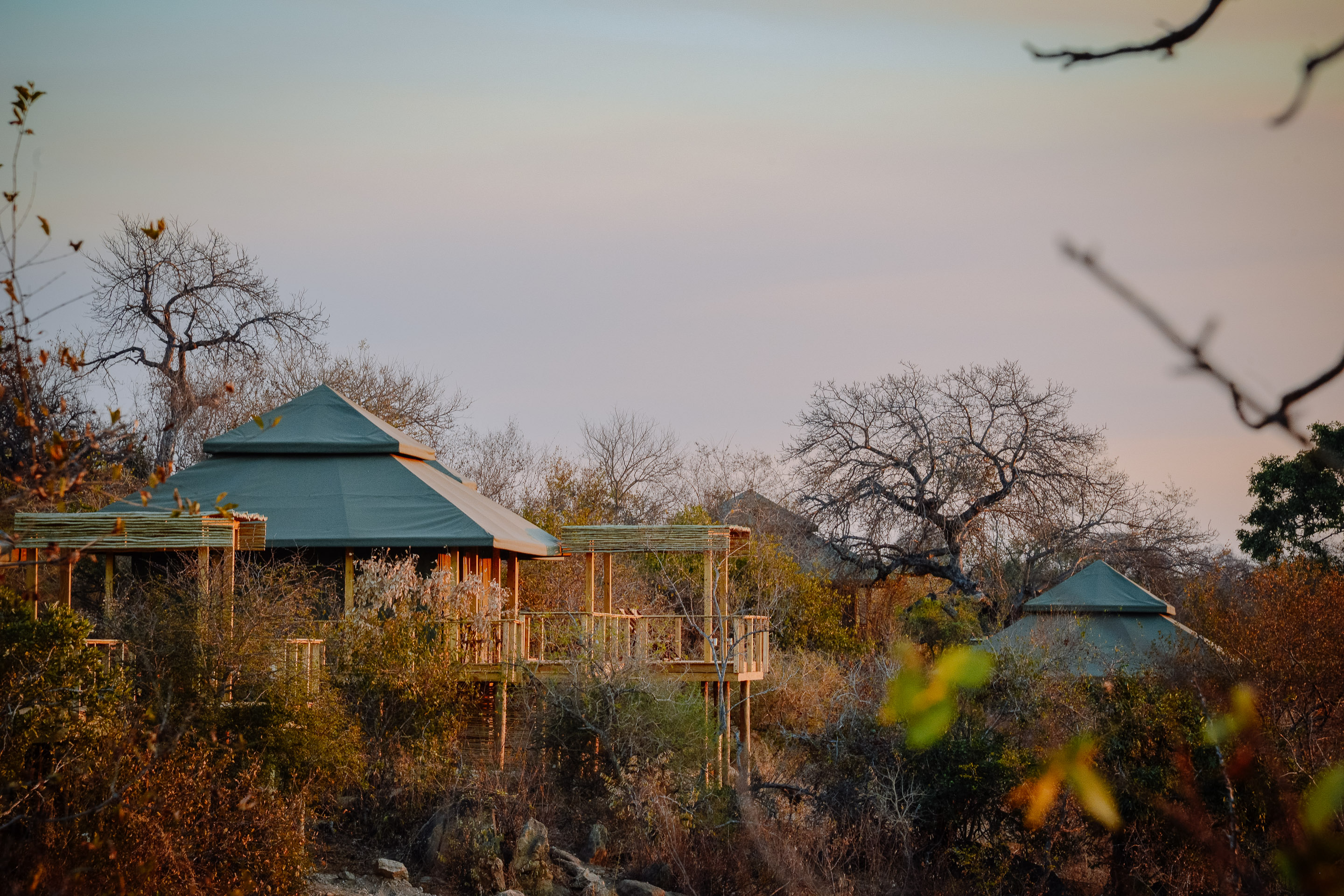Simbavati Hilltop Lodge, Timbavati | Timbuktu Travel