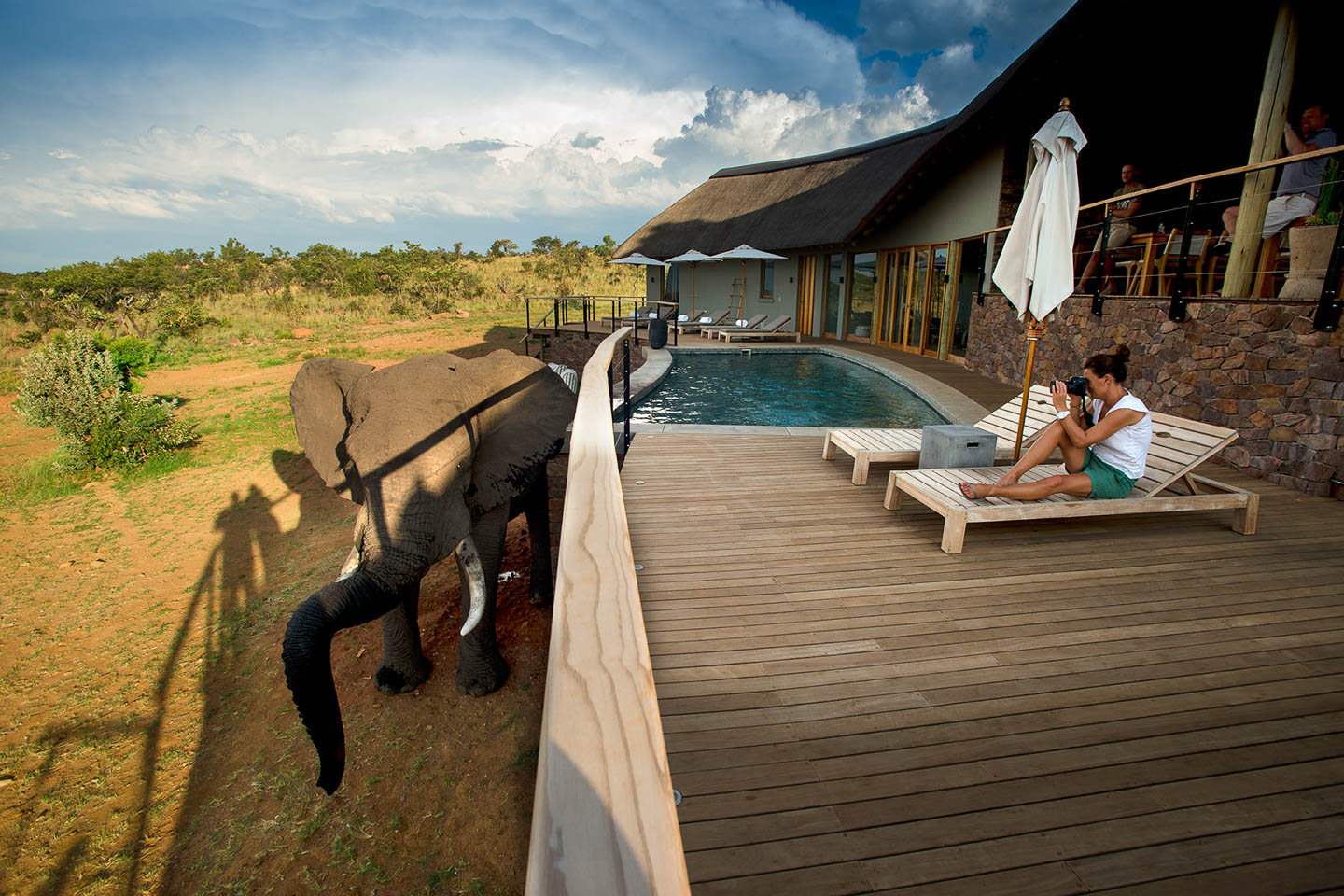 Mhondoro Safari Lodge & Villa, Welgevonden Game Reserve | Timbuktu Travel