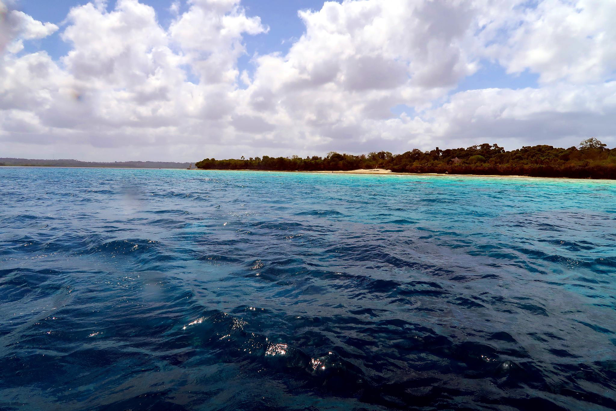 Gecko Nature Lodge, Pemba Island | Timbuktu Travel