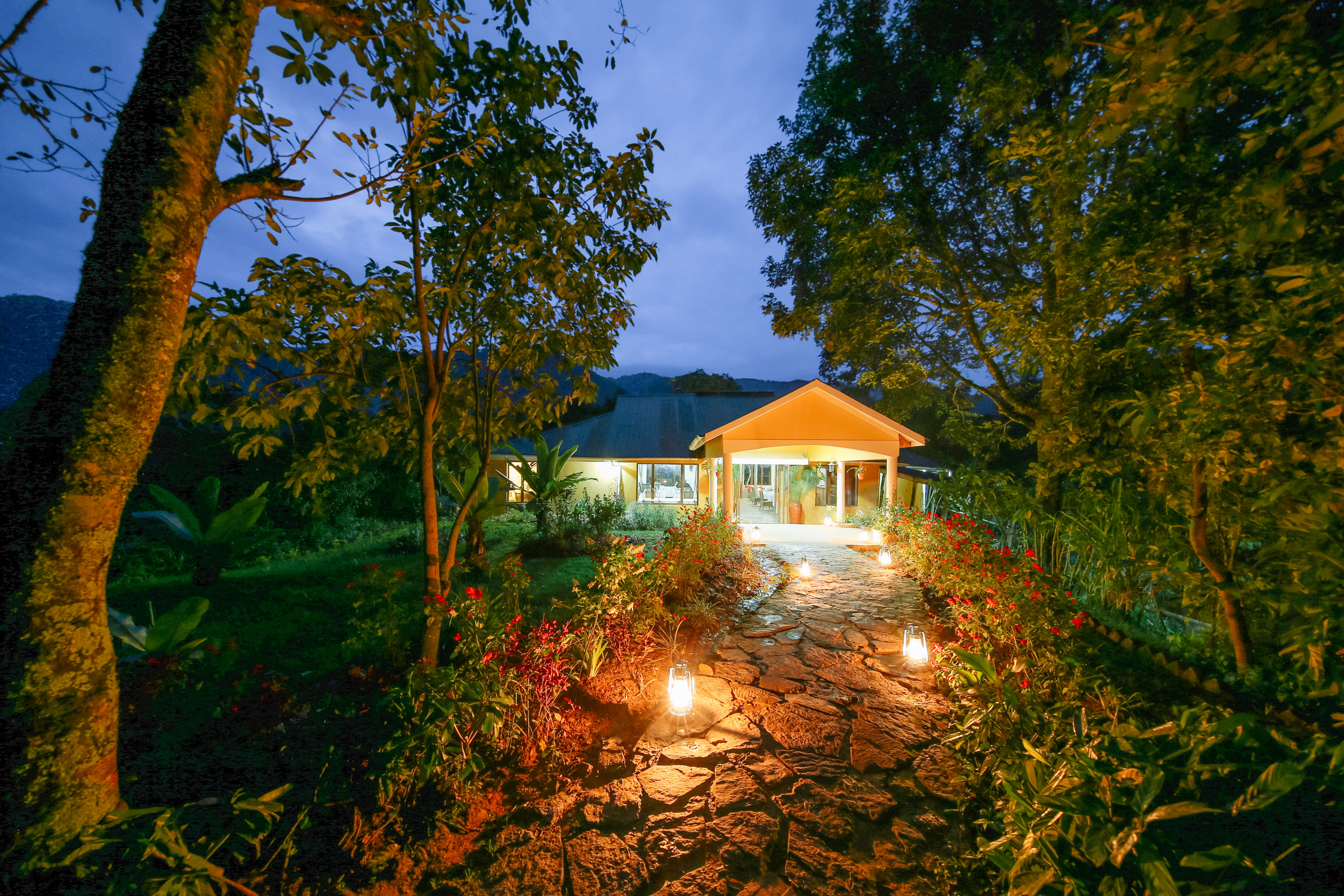 Gorilla Safari Lodge, Bwindi | Timbuktu Travel