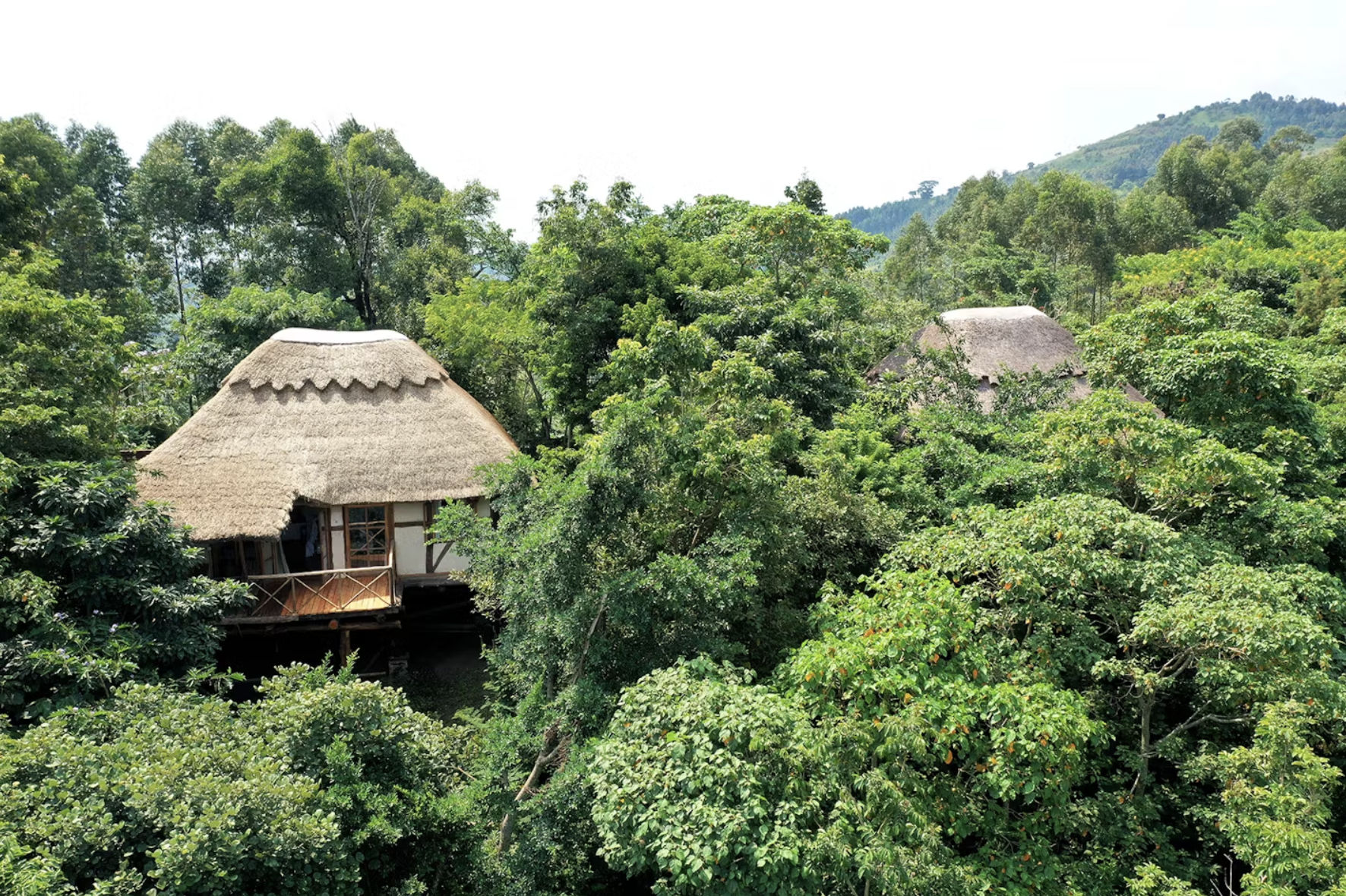Papaya Lake Lodge, Kibale | Timbuktu Travel