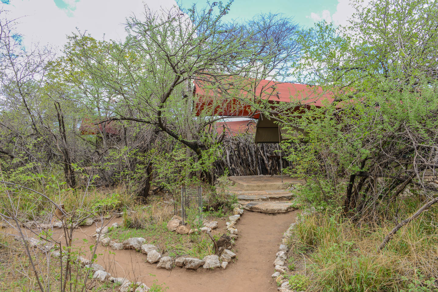 Mundulea Bush Camp, Otjiwarongo | Timbuktu Travel