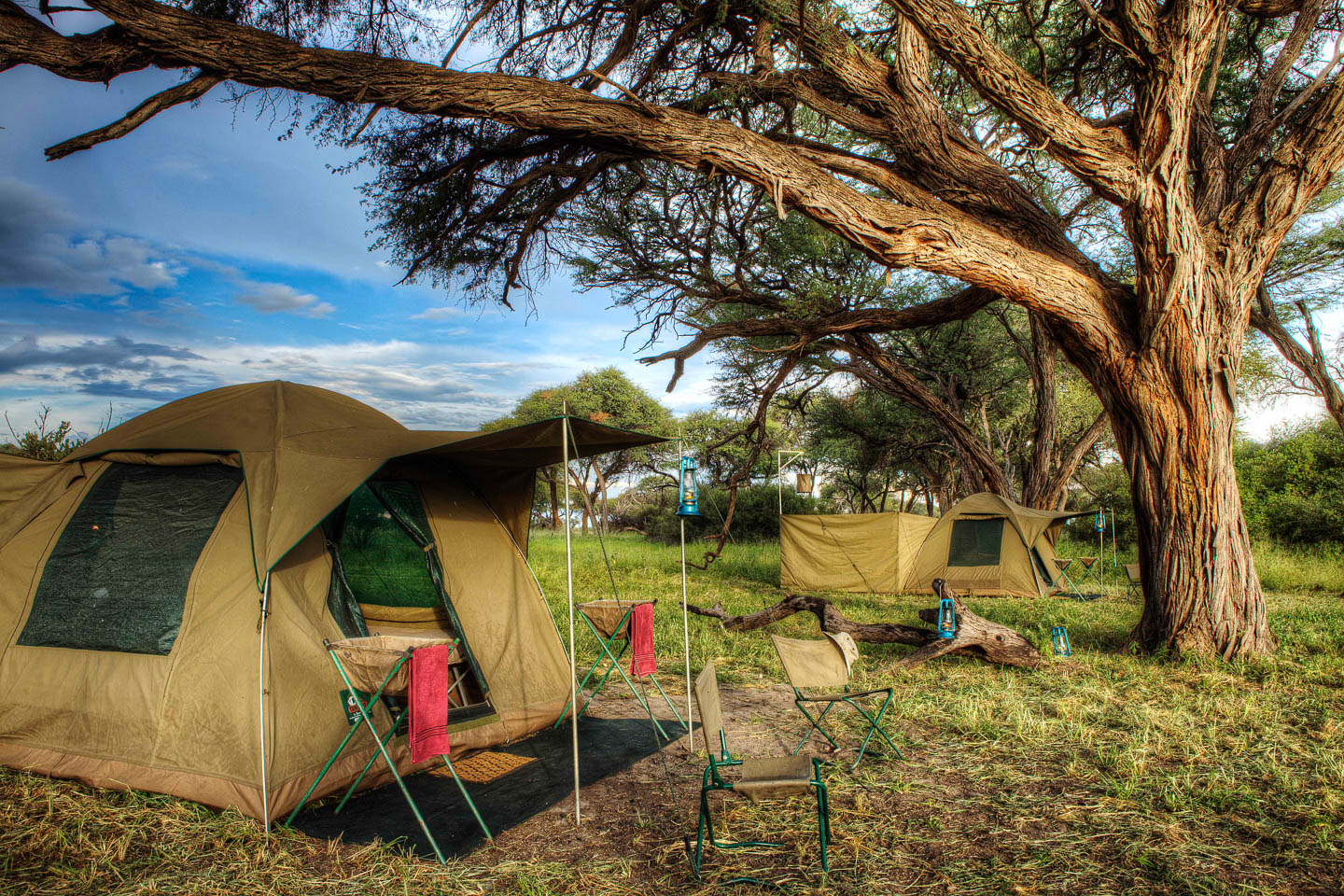 Safari Life Africa: Mobile Safari, Moremi | Timbuktu Travel