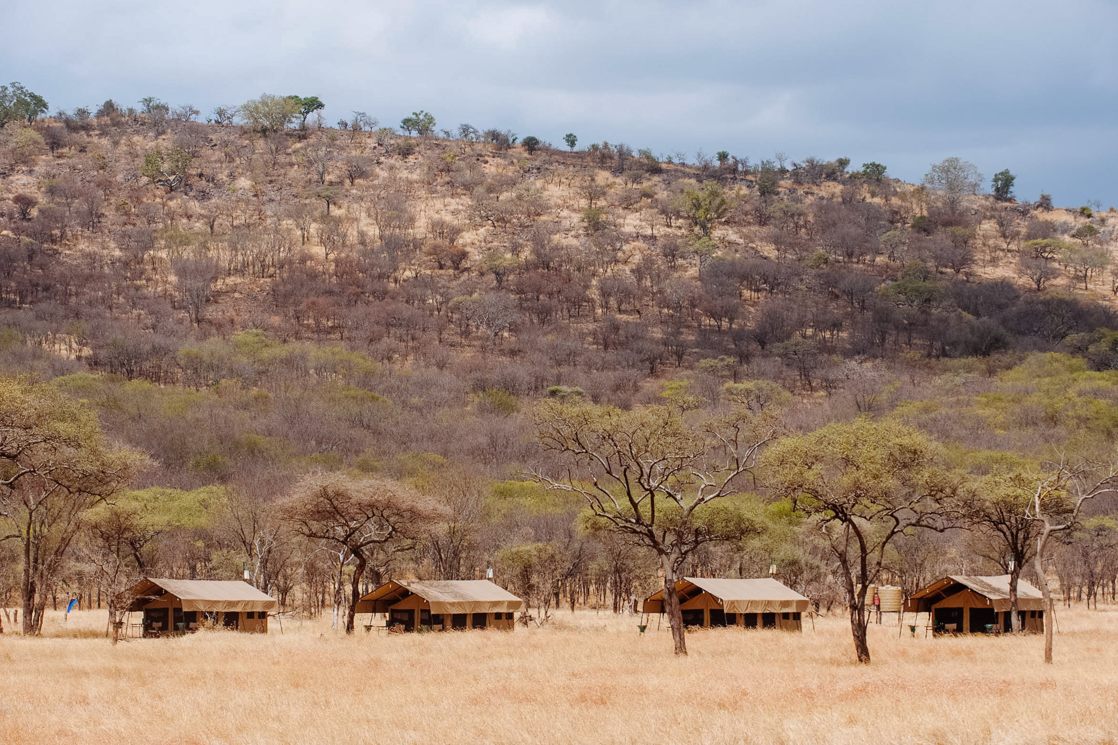 Mara Kati Kati Tented Camp, Serengeti | Timbuktu Travel