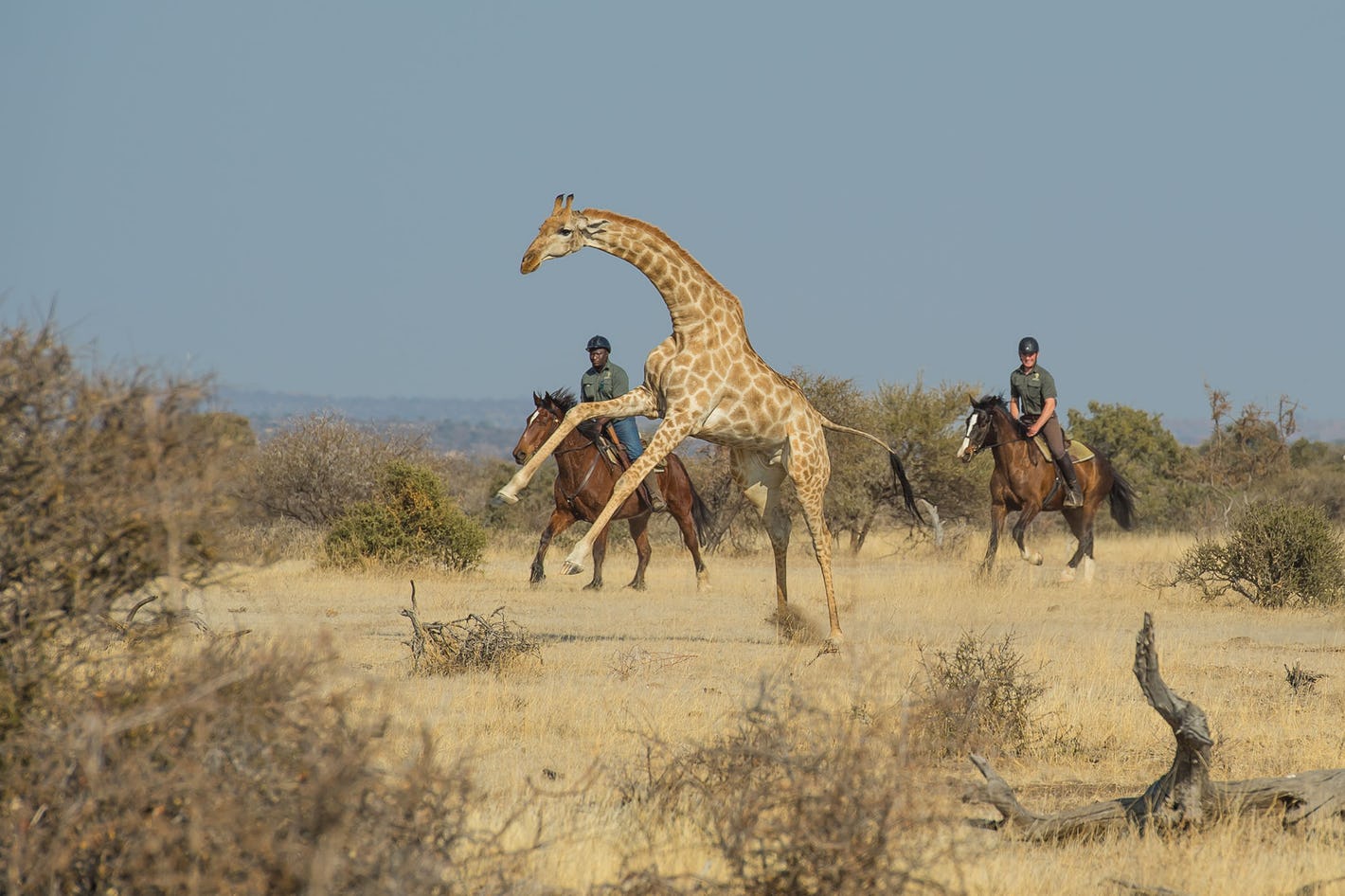 Horizon Horseback Safari Lodge, Waterberg | Timbuktu Travel