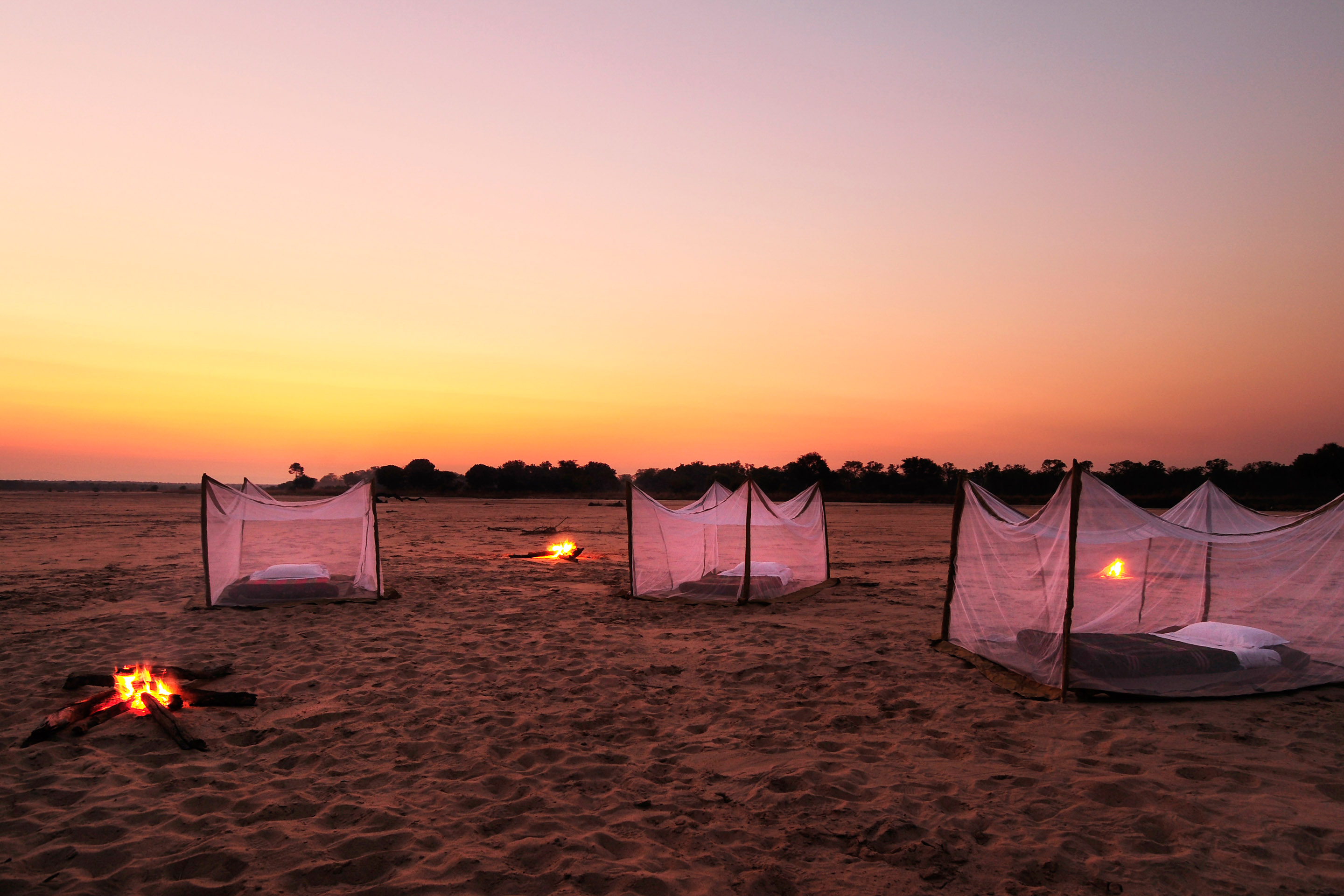 Return to the Wild, South Luangwa | Timbuktu Travel