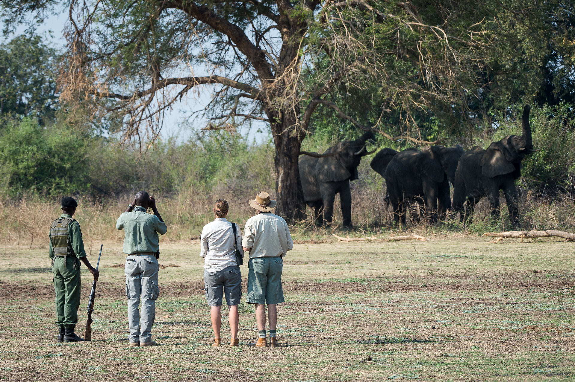 Robin Pope Mobile Safari, South Luangwa | Timbuktu Travel