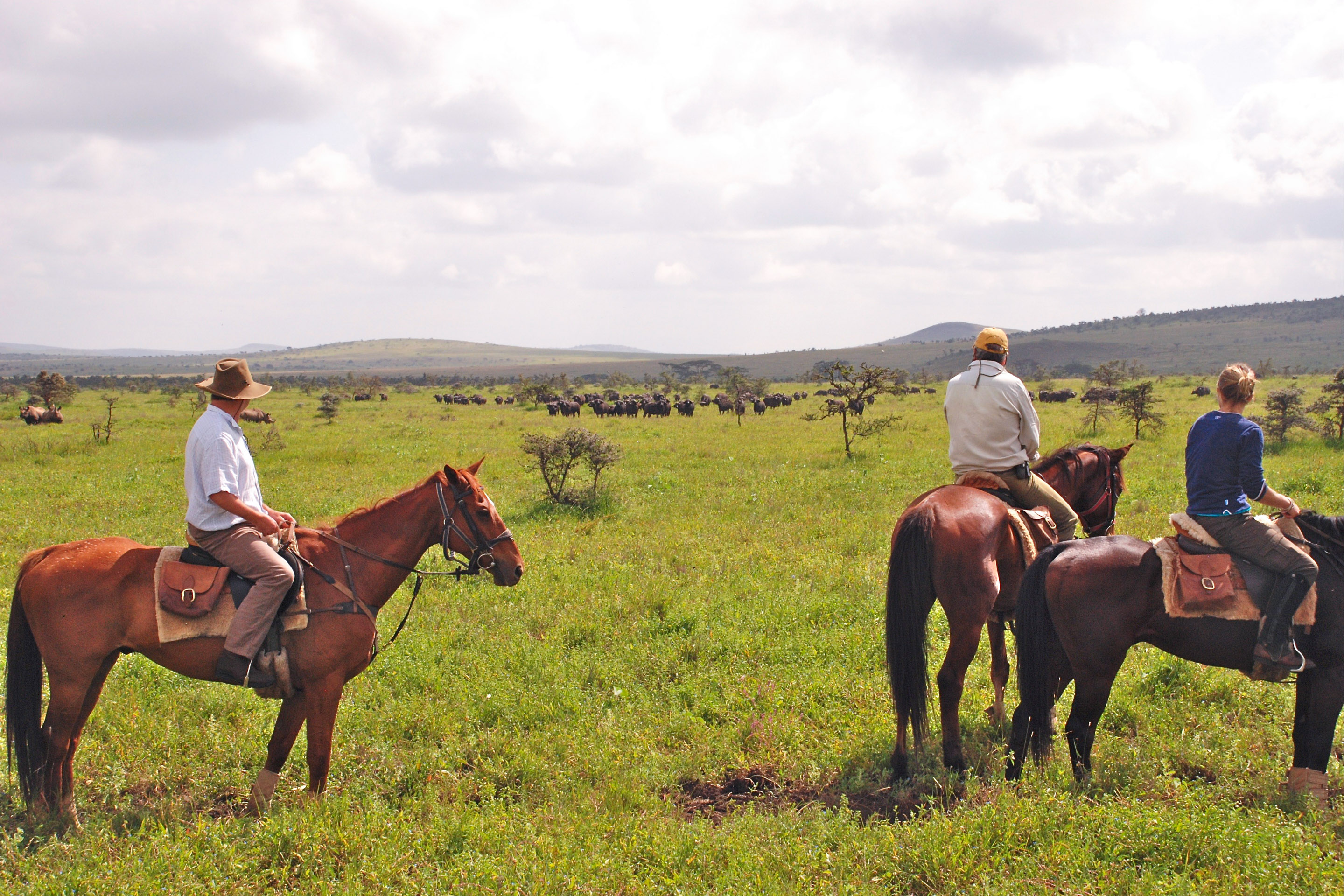 Borana - North Ride, Laikipia | Timbuktu Travel