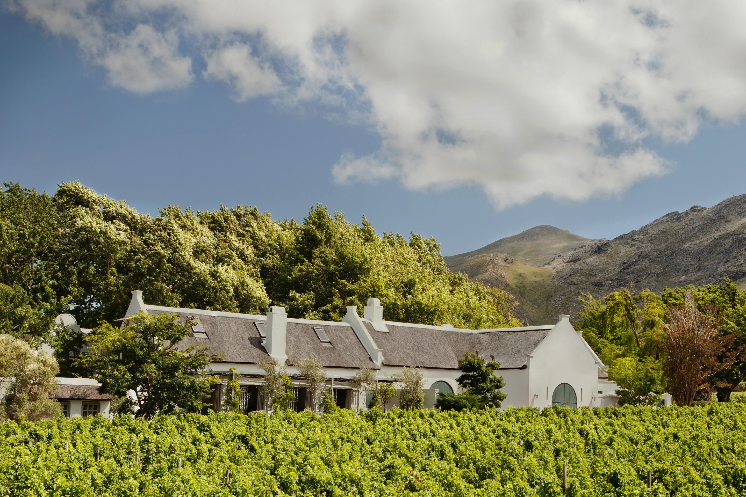 Grande Provence Owner's Cottage, The Franschhoek Valley | Timbuktu Travel