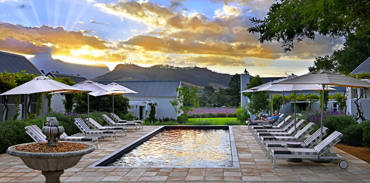 Lavender Farm, The Franschhoek Valley | Timbuktu Travel