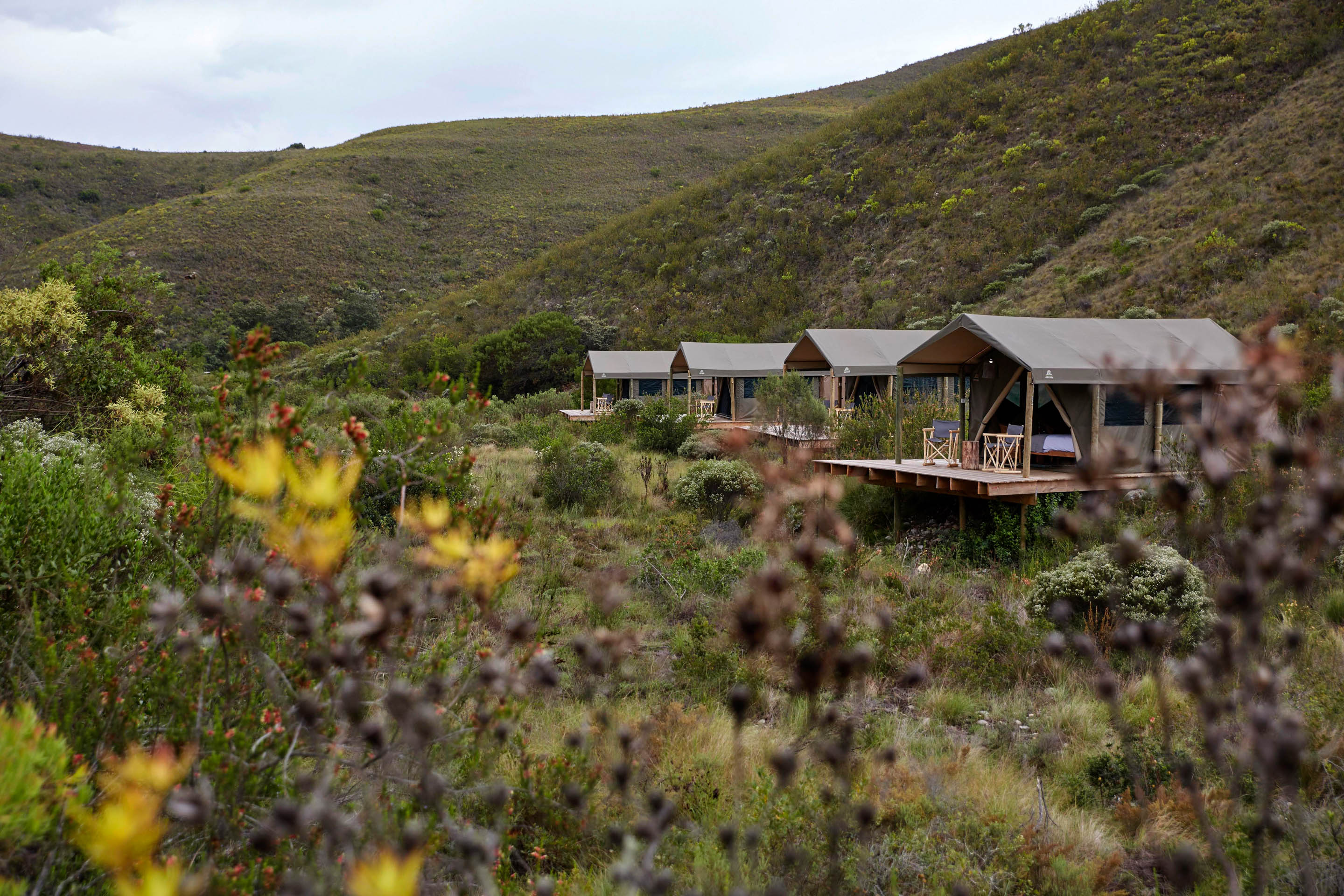 Gondwana Tented Eco Camp, Mossel Bay | Timbuktu Travel