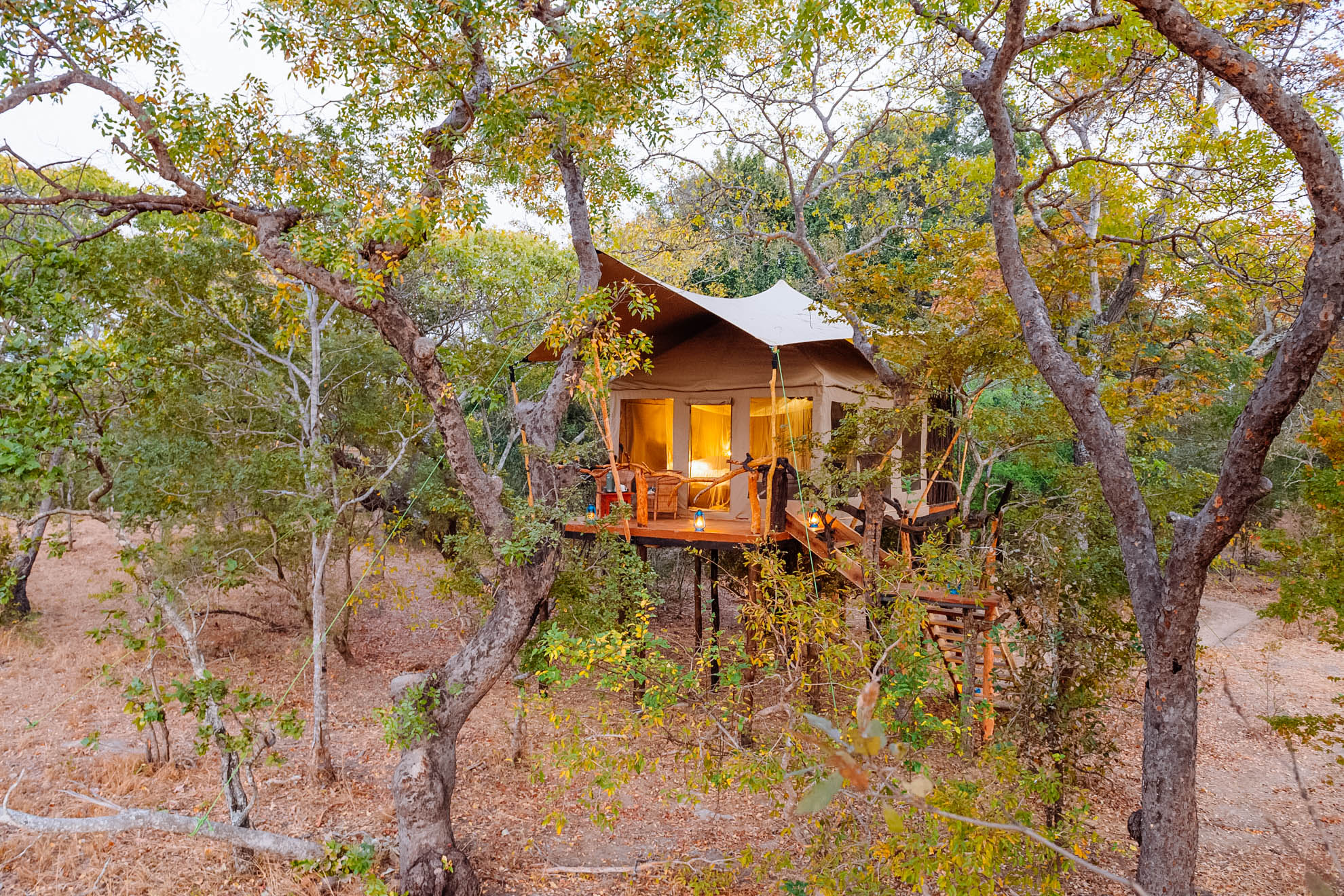 Mukambi Fig Tree Bush Camp, Kafue | Timbuktu Travel