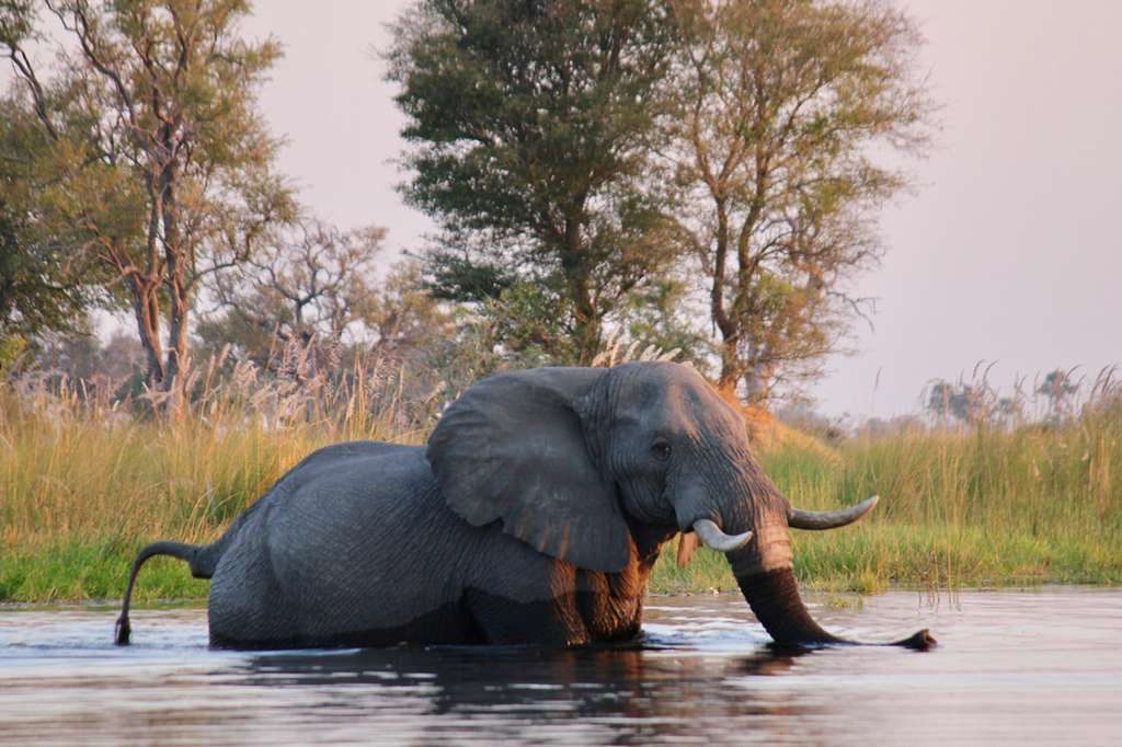 On Foot Through Botswana, Central Okavango | Timbuktu Travel