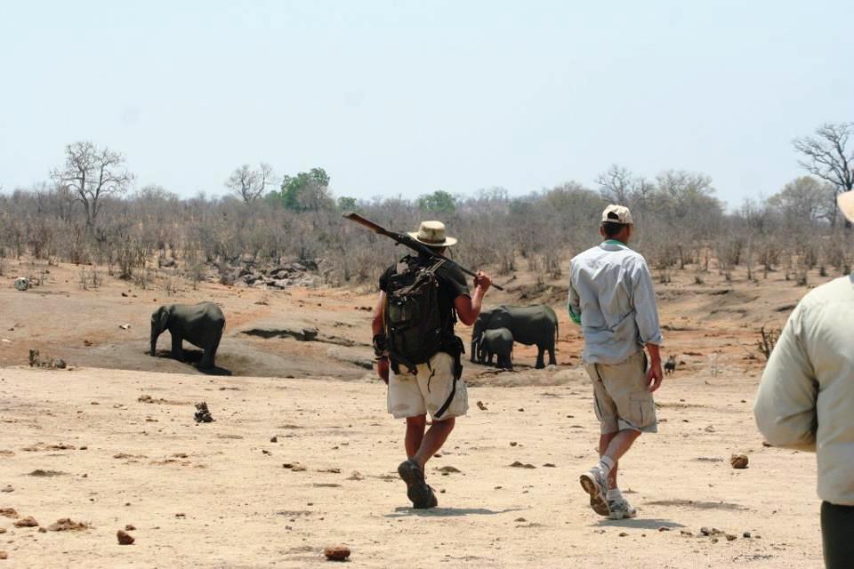 Varley Walking Safaris, Hwange | Timbuktu Travel
