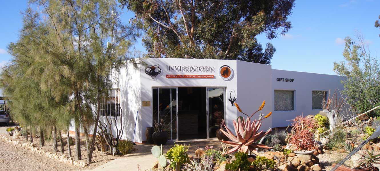 Iziba Safari Lodge, Cape Winelands | Timbuktu Travel