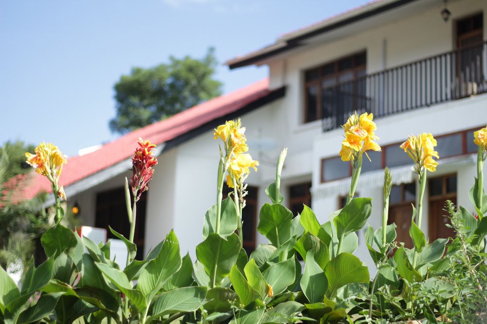 Boulevard Inn Mt Meru, Arusha | Timbuktu Travel