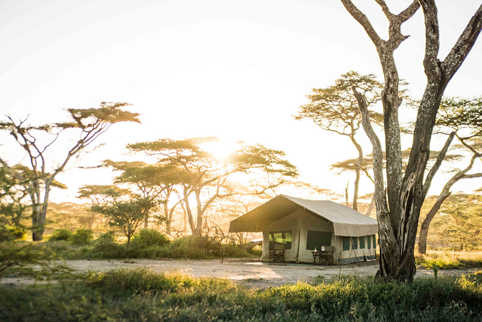 Olaado Ndutu Camp, Serengeti | Timbuktu Travel