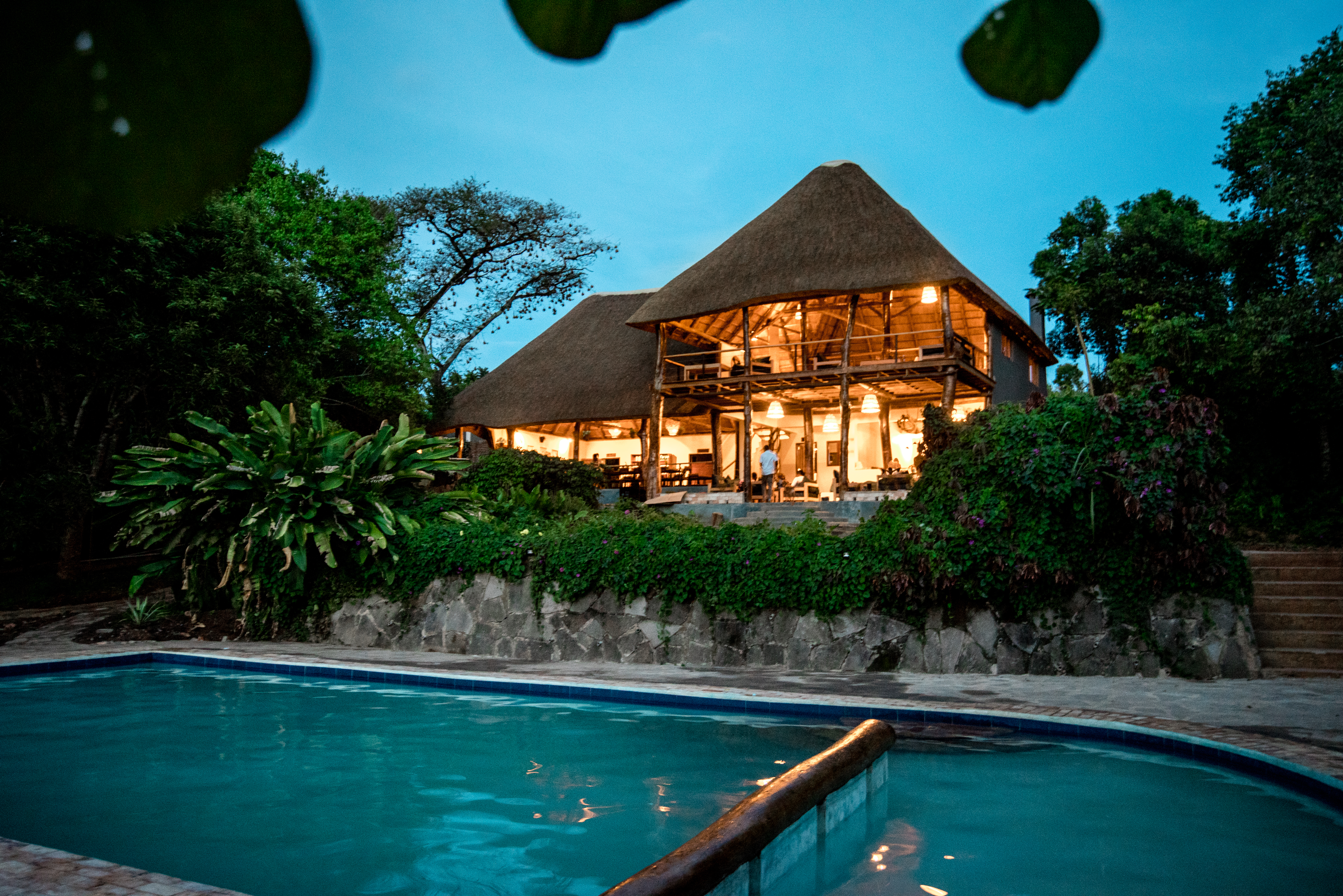 Turaco Tree Tops, Kibale | Timbuktu Travel