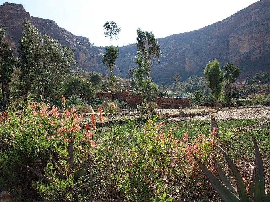Erar Guesthouse, Gheralta | Timbuktu Travel